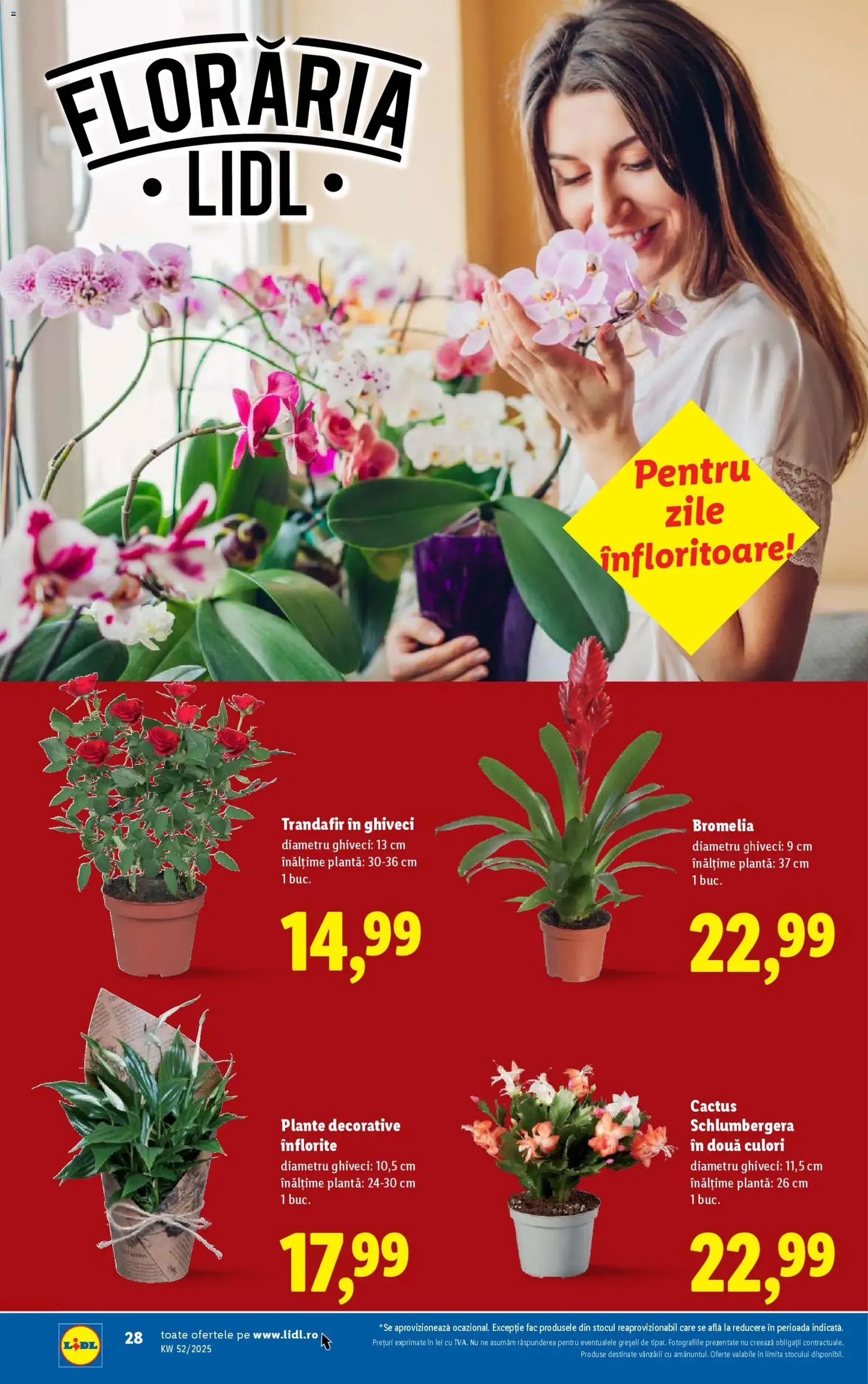 Catalog Lidl - cataloage valabile începând cu 22.12.2025 pagina 28 din 42