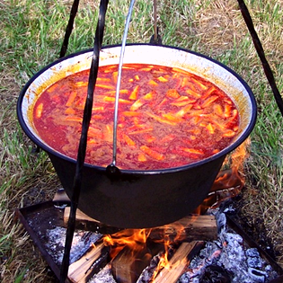Recipe preview Rustic stew with minced meat