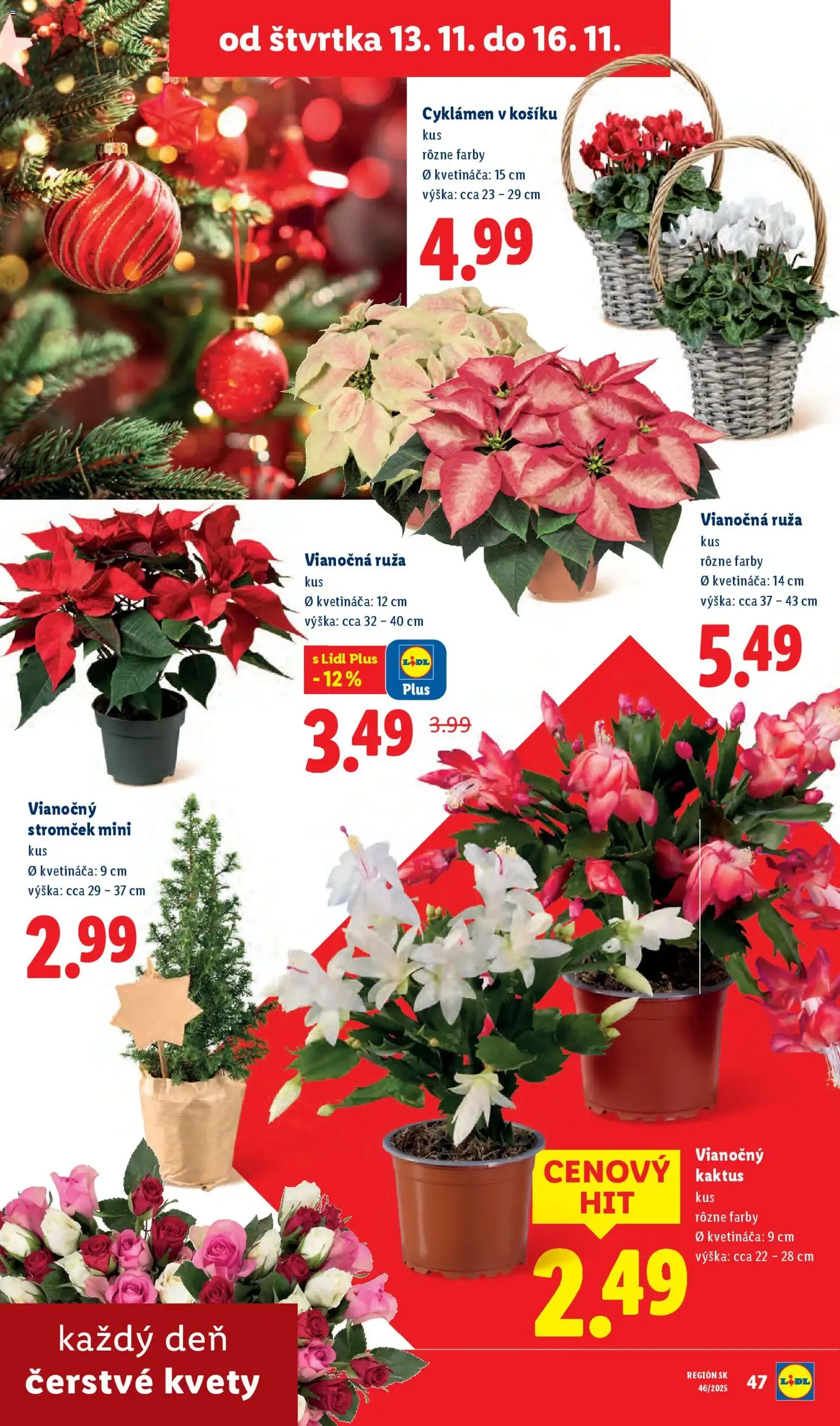 Lidl leták - platný leták od 10.11.2025 strana 66 z 106
