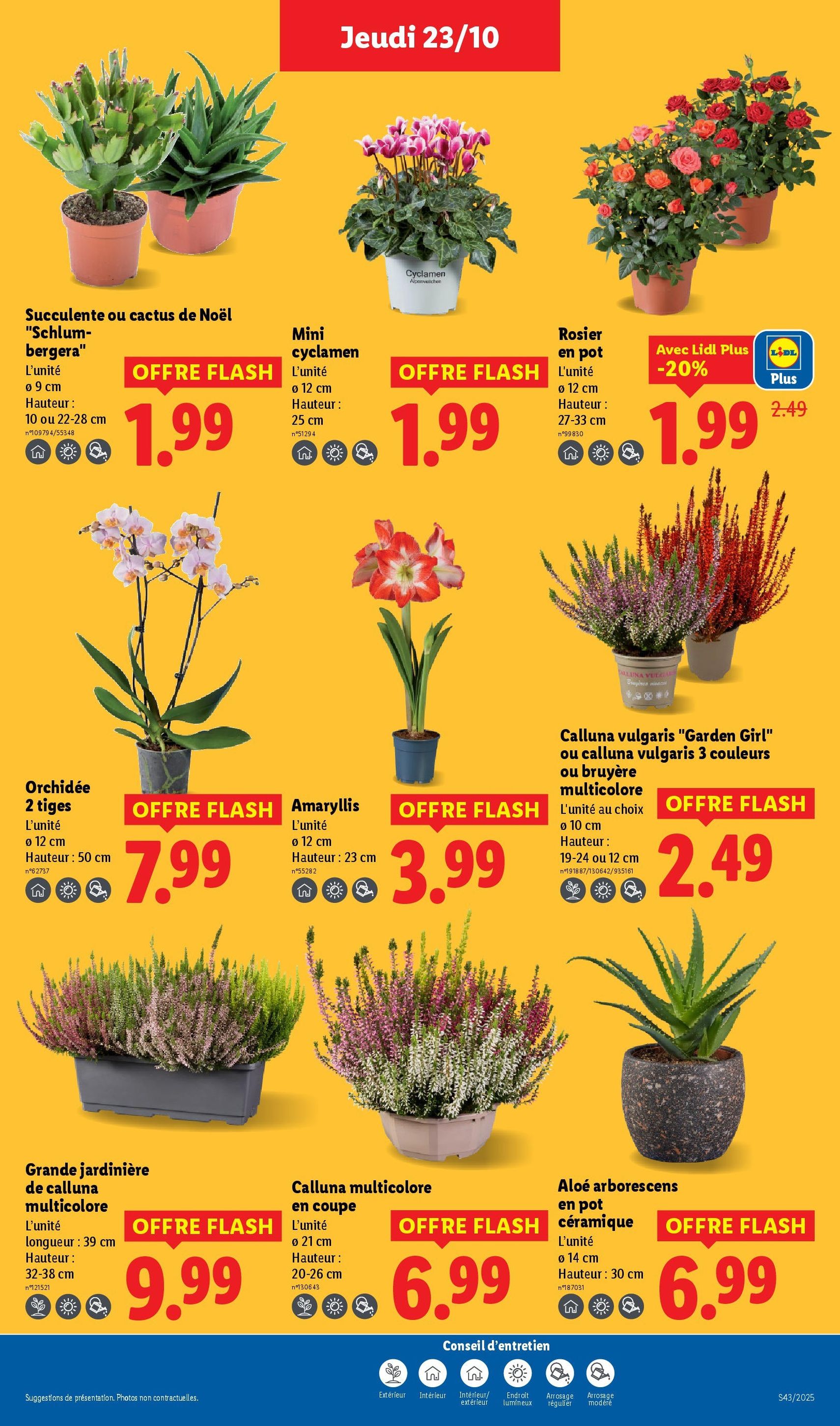 LIDL catalogue semaine 43 - brochure valable à partir du 23/10/2025, page 27 sur 84 LIDL catalogue semaine 43 - brochure valable à partir du 23/10/2025, page 27 sur 84