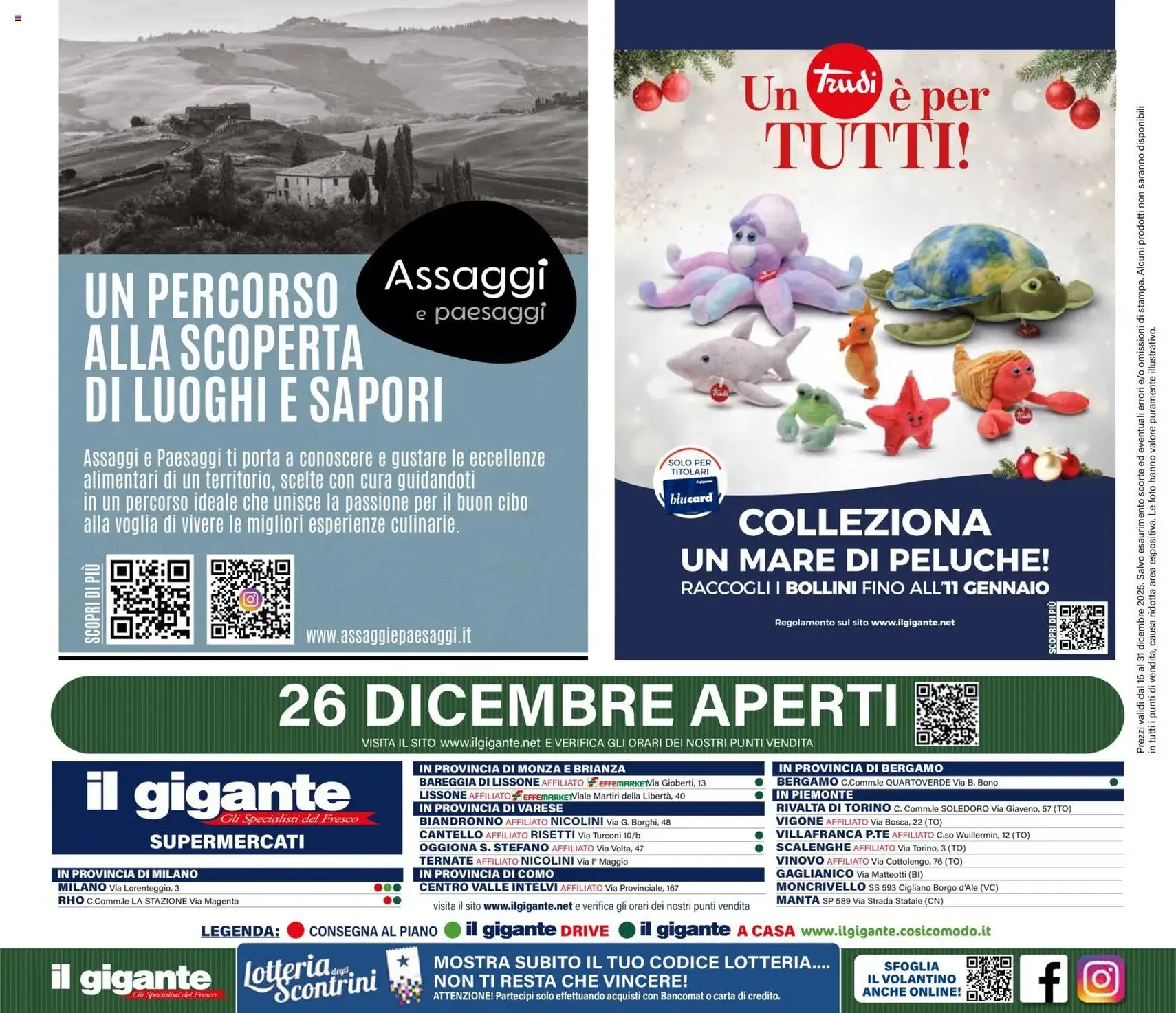 Volantino Il Gigante - volantino valido dal 15/12/2025 pagina 36 di 36
