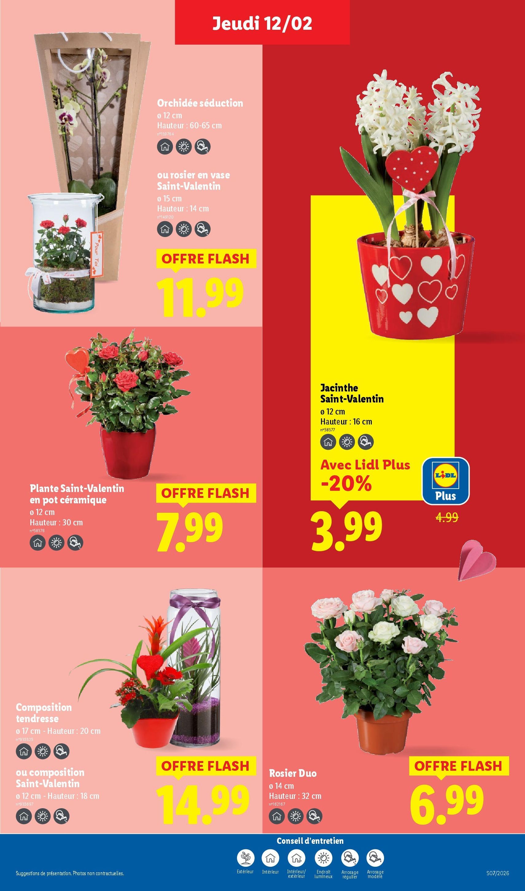 LIDL catalogue semaine 7 - brochure valable à partir du 12/02/2026, page 31 sur 79