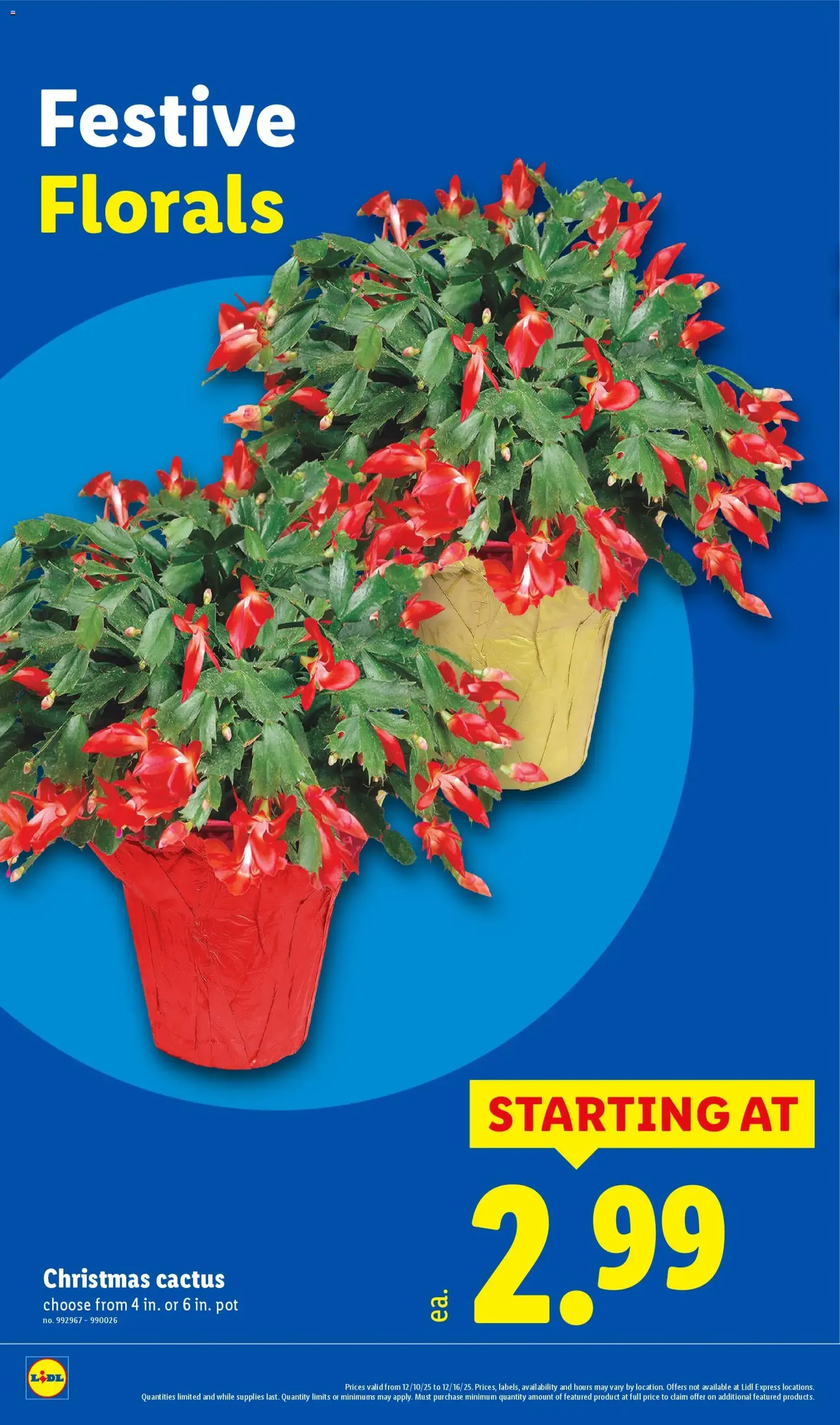 Lidl Weekly Ad - valid flyer from 12/10/2025, page 30 of 40