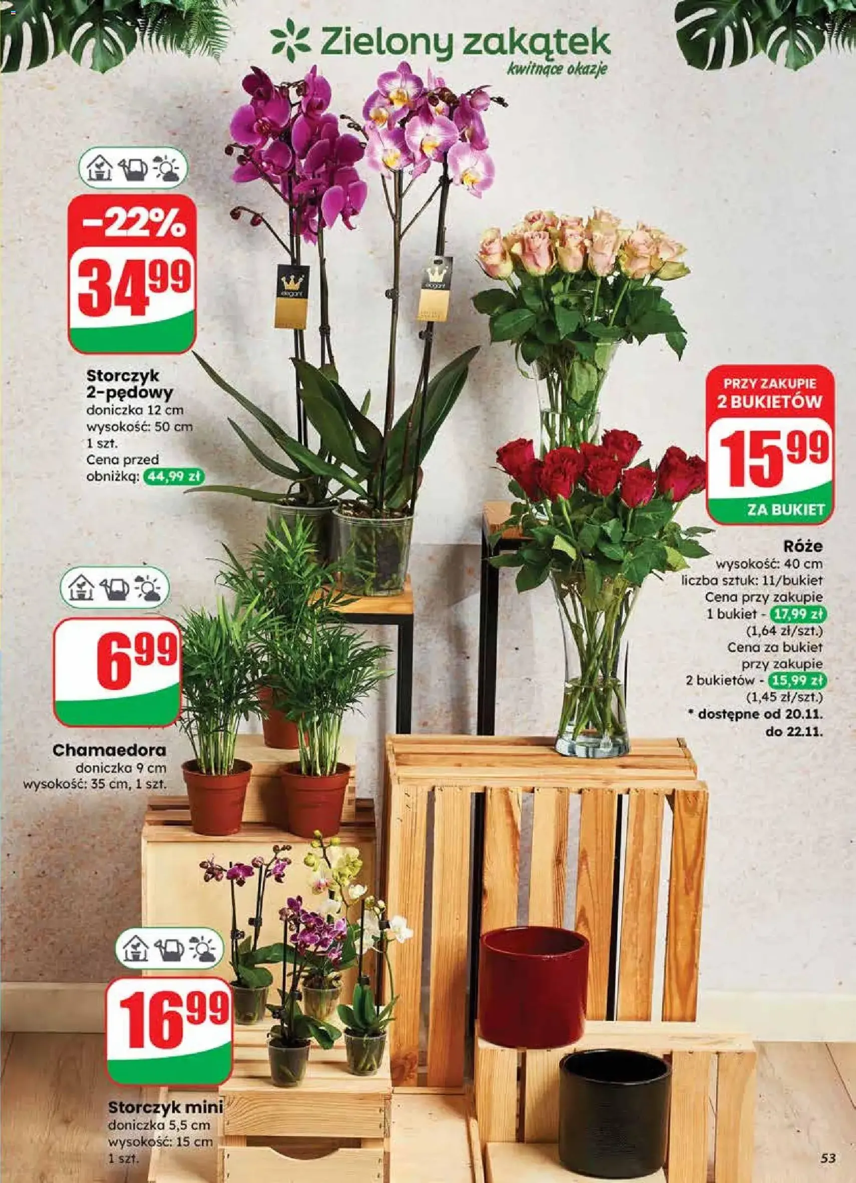 Dino Gazetka - ważny gazetka od 19.11.2025 strona 53 z 75