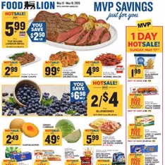 Food Lion Weekly Ad - Flyer preview valid from 05/13/2026