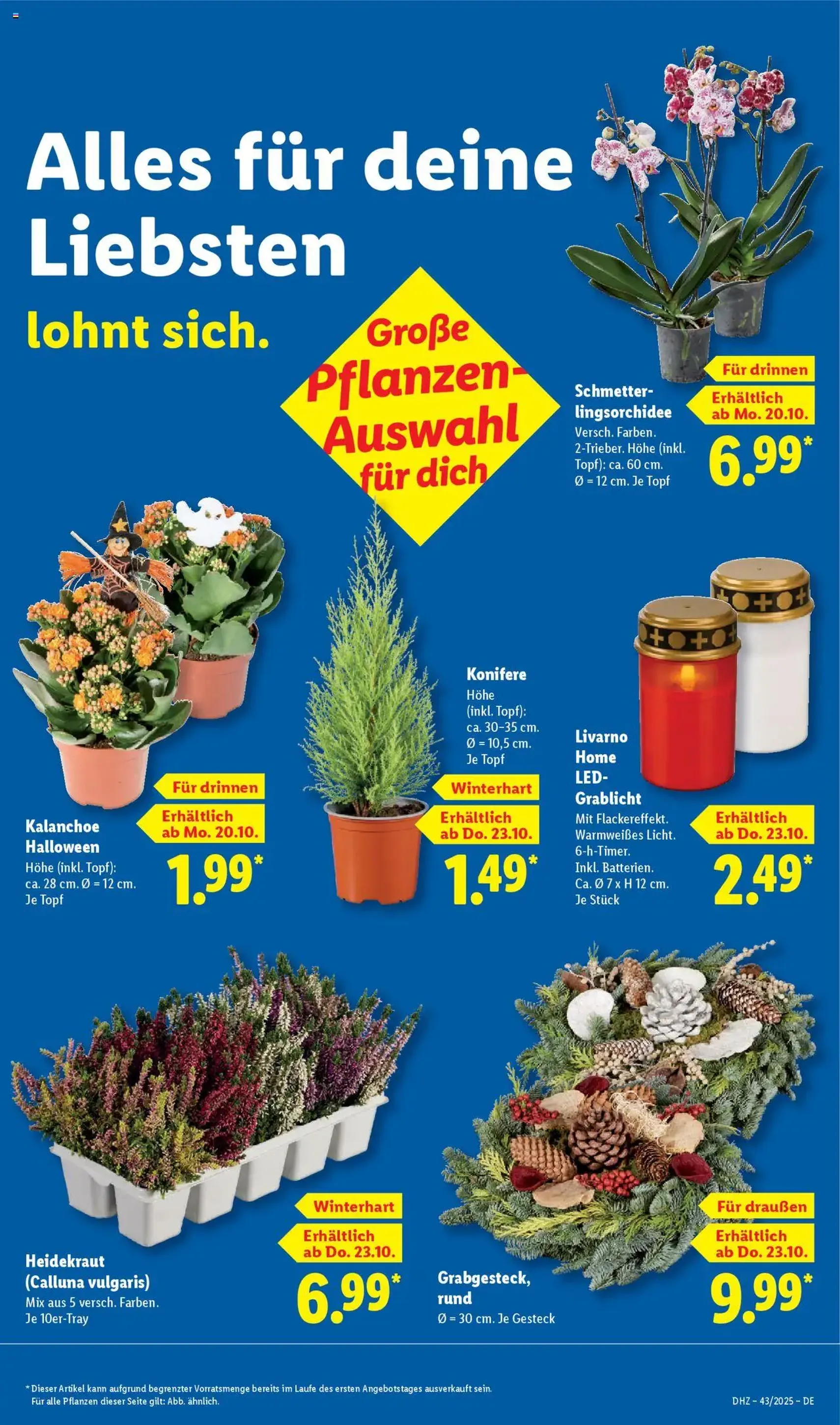 Lidl - Prospekt - Gültiger Prospekt ab 20.10.2025, Seite 49 von insgesamt 69 Lidl - Prospekt - Gültiger Prospekt ab 20.10.2025, Seite 49 von insgesamt 69