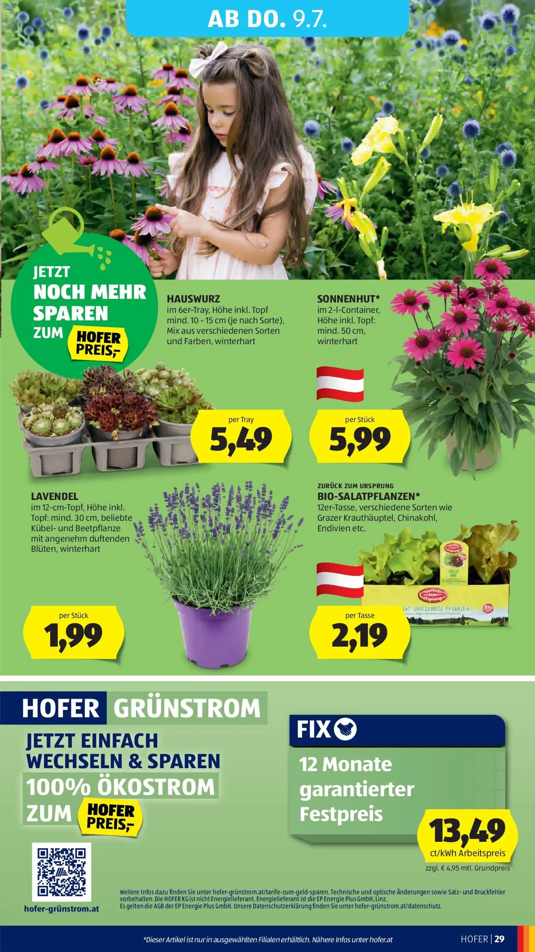 Hofer Flugblatt - Gültiger Prospekt ab 03.07.2026, Seite 35 von insgesamt 39