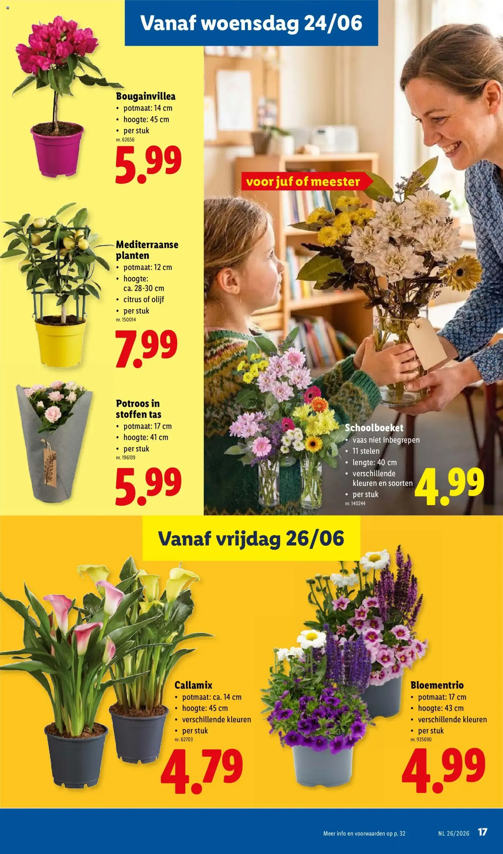 Lidl Folder week 26 - geldige folder vanaf 22/06/2026 pagina 17 van 32