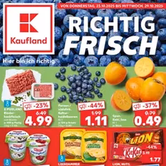Kaufland Prospekt - Prospekt Vorschau gültig ab 23.10.2025