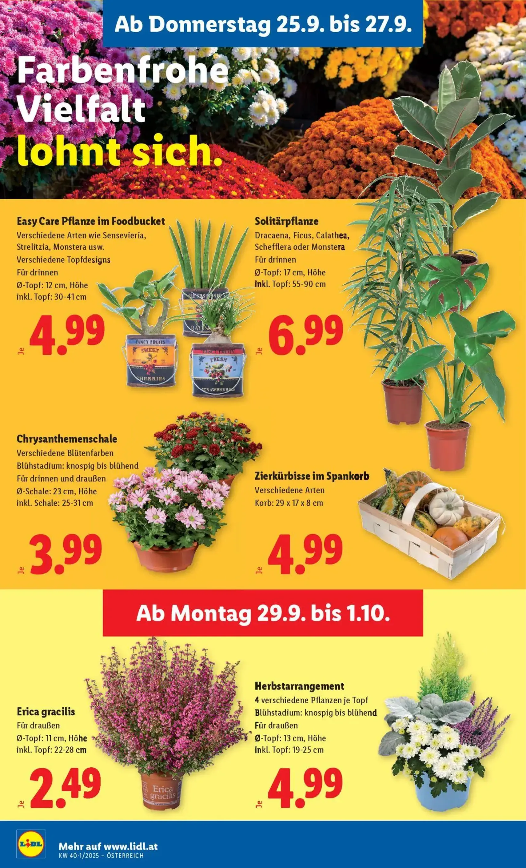 Lidl Flugblatt - Gültiger Prospekt ab 25.09.2025, Seite 30 von insgesamt 51