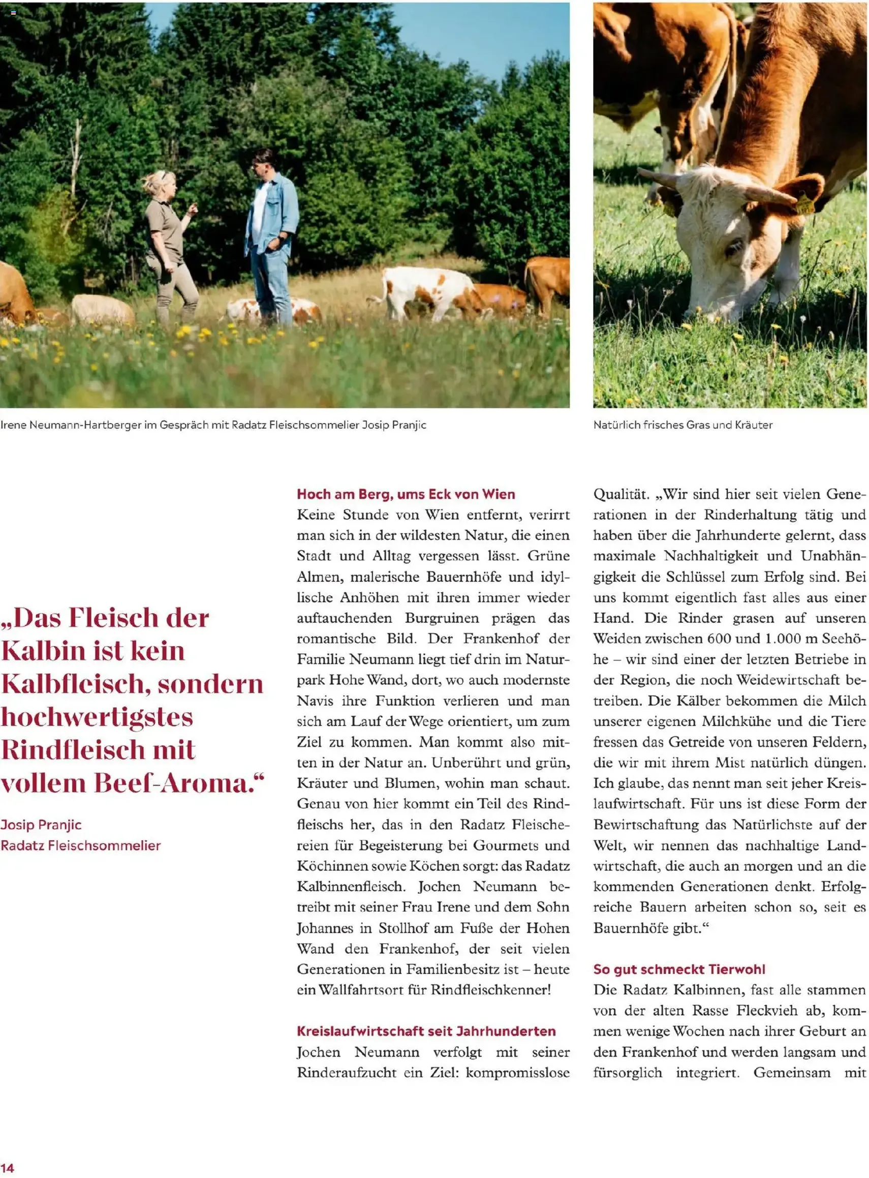 Radatz Schmeckt - Gültiger Prospekt ab 01.11.2025, Seite 14 von insgesamt 60