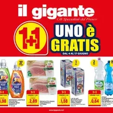 Il Gigante volantino - anteprima volantino valido dal 04/06/2026