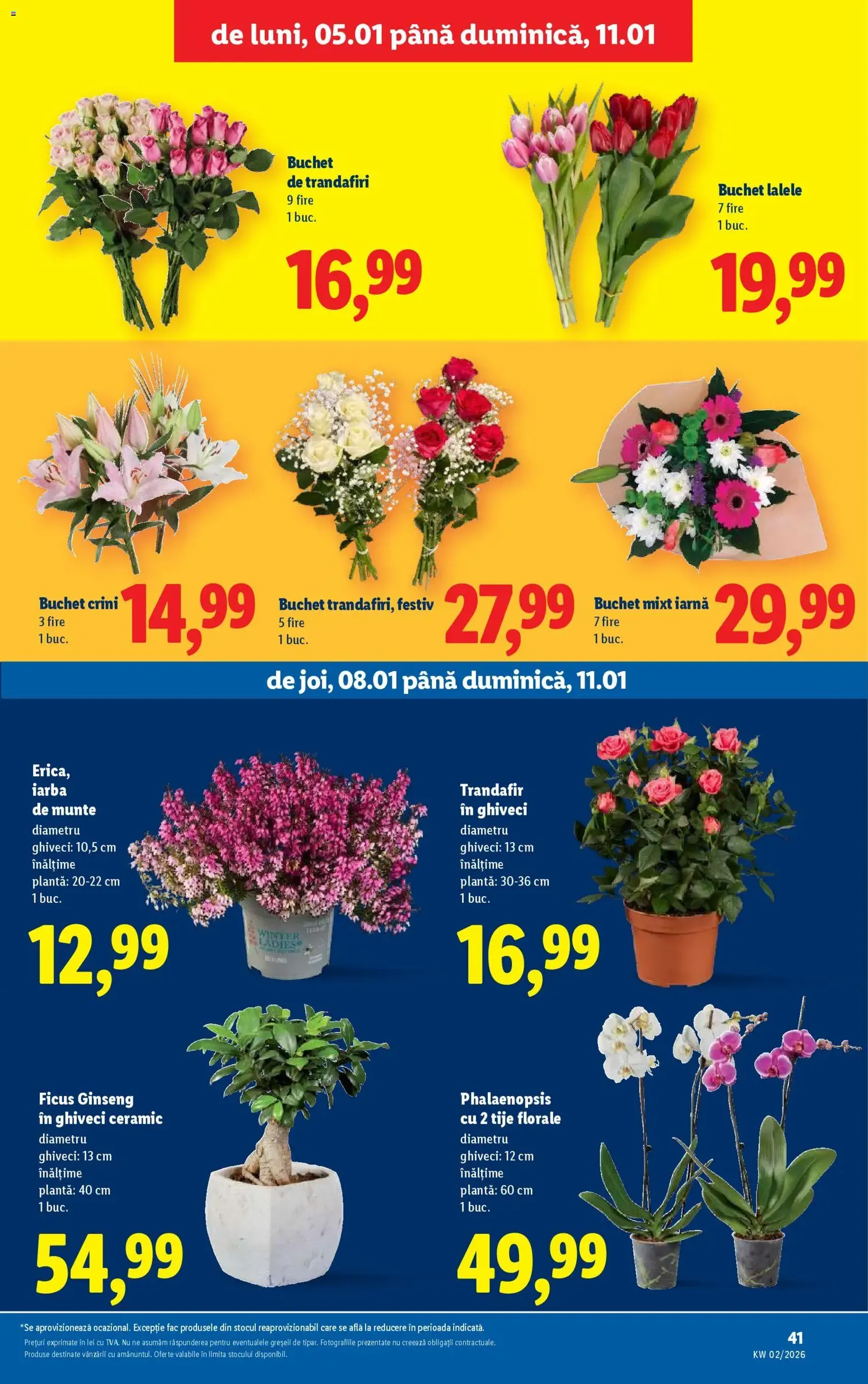 Catalog Lidl - cataloage valabile începând cu 05.01.2026 pagina 41 din 62