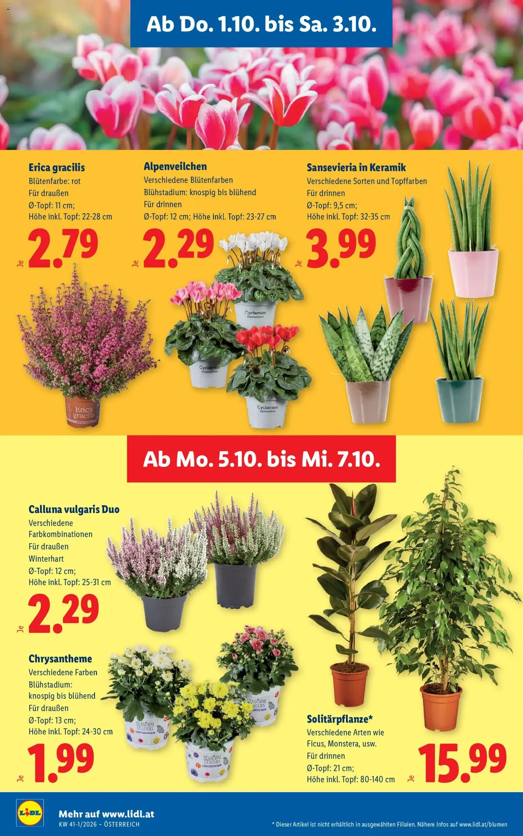 Lidl - Flugblatt - Gültiger Prospekt ab 01.10.2026, Seite 30 von insgesamt 53