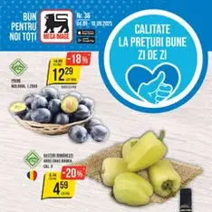 Catalog Mega Image - previzualizare cataloage valabilă începând cu 04.09.2025