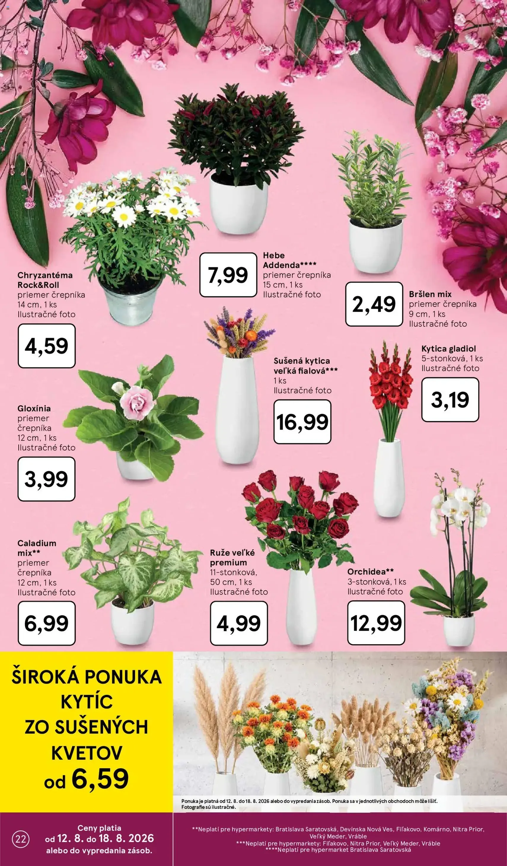 Tesco Hypermarket - leták - platný leták od 12.08.2026 strana 22 z 54