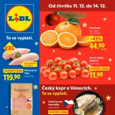 Lidl leták - náhled letáku platný od 11.12.2025
