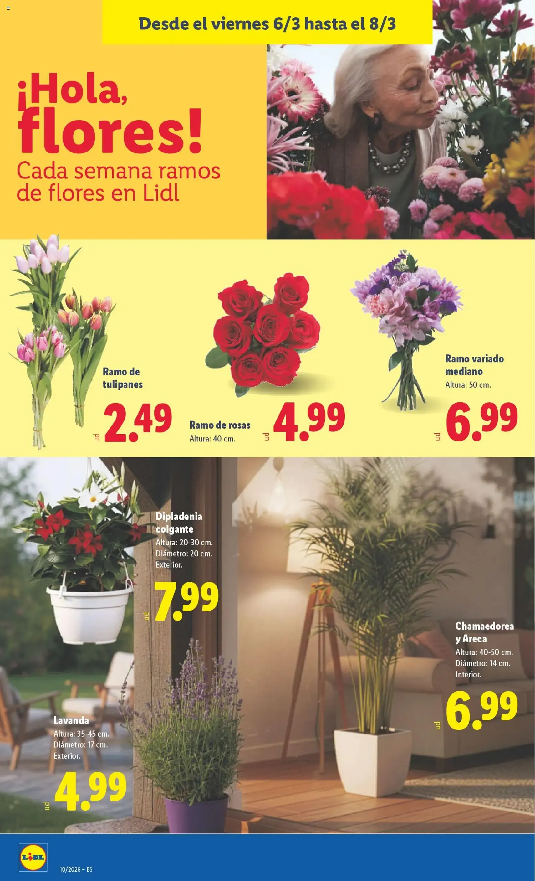 Lidl folleto - folleto válido desde 02/03/2026 página 52 de 53