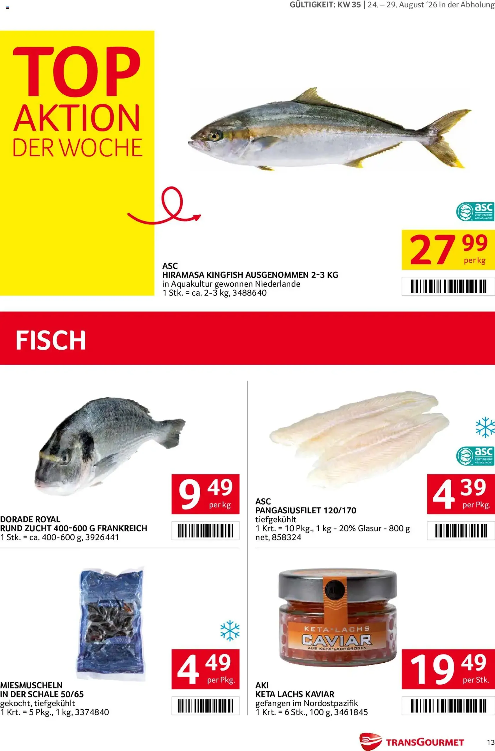 Transgourmet Flugblatt - Gültiger Prospekt ab 24.08.2026, Seite 13 von insgesamt 28
