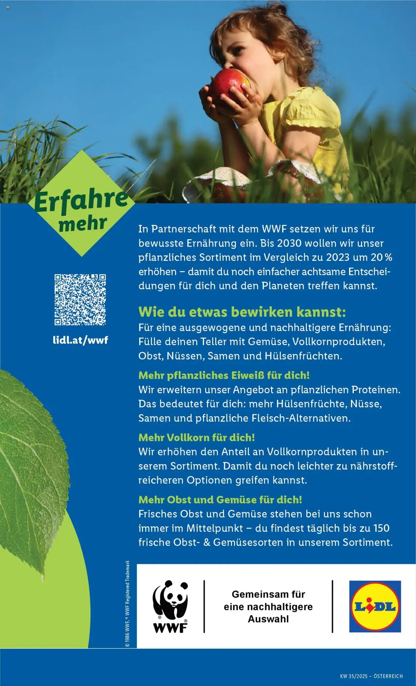 Lidl Flugblatt - Gültiger Prospekt ab 28.08.2025, Seite 47 von insgesamt 48 Lidl Flugblatt - Gültiger Prospekt ab 28.08.2025, Seite 47 von insgesamt 48