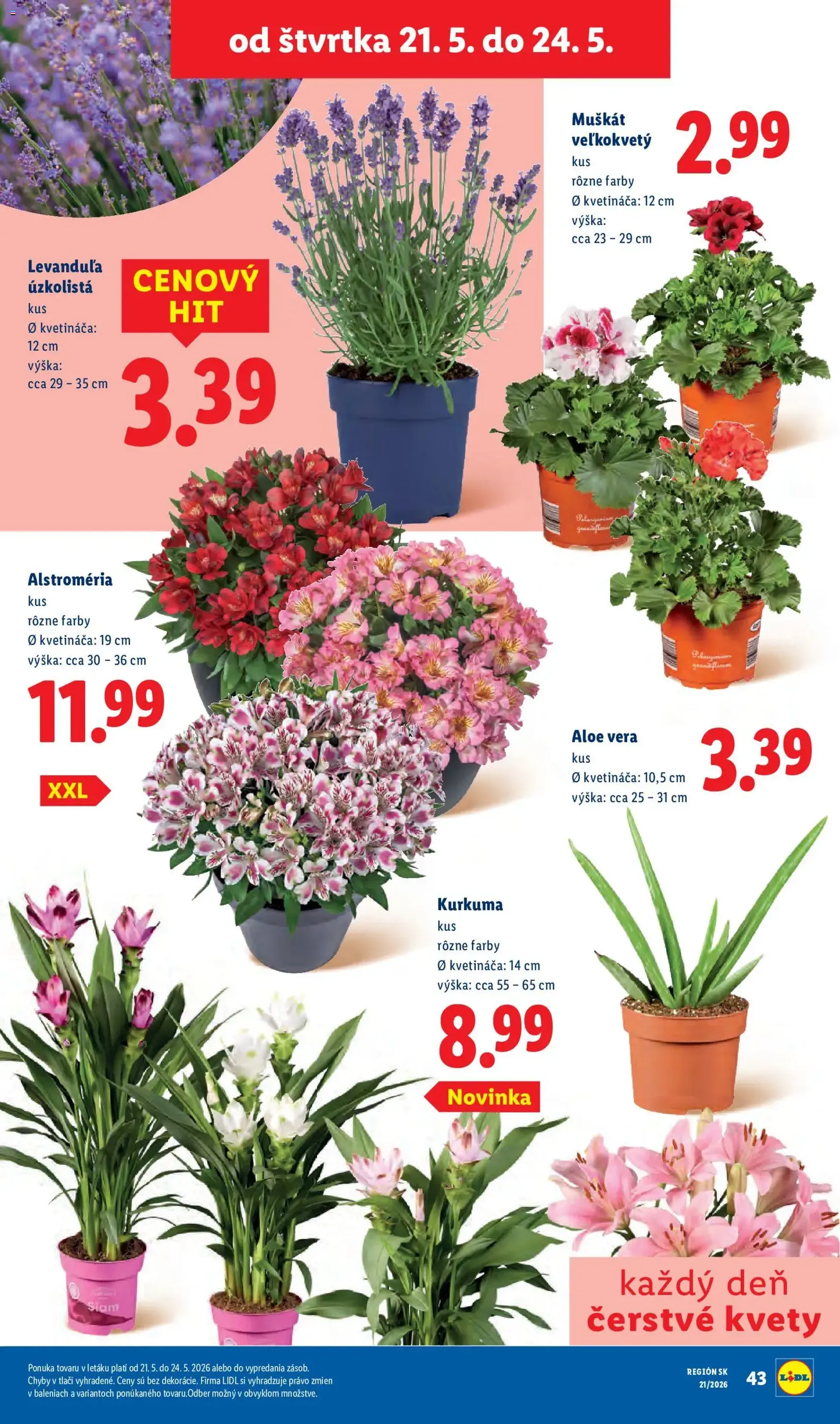 Lidl leták - platný leták od 18.05.2026 strana 78 z 97