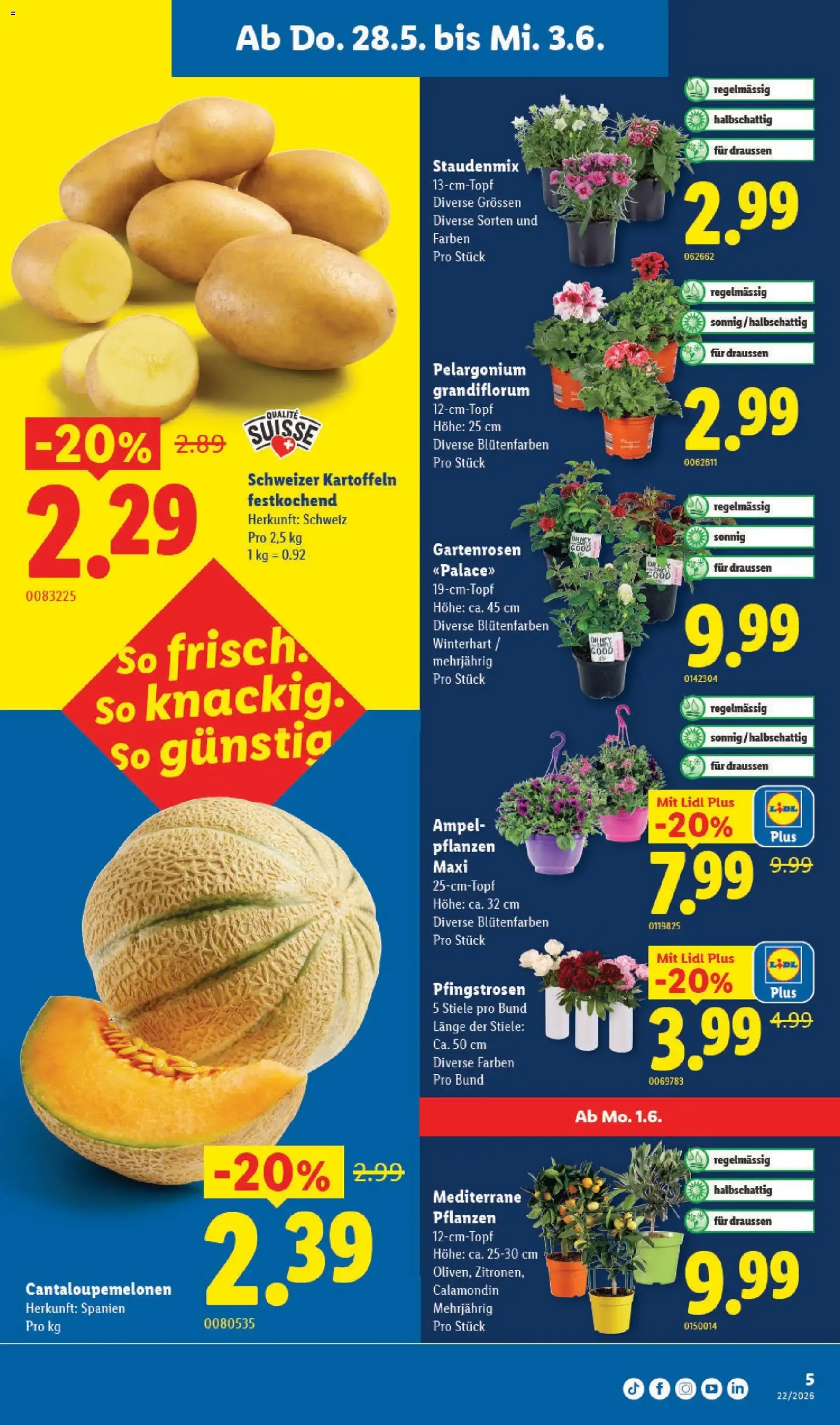 Lidl aktionen - Gültiger Prospekt ab 28.05.2026, Seite 5 von insgesamt 32