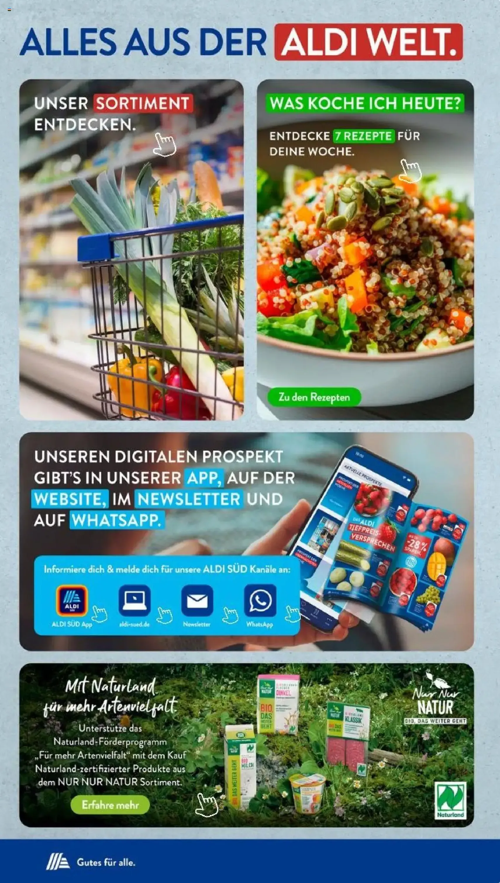 Aldi Süd Prospekt - Gültiger Prospekt ab 15.09.2025, Seite 43 von insgesamt 44 Aldi Süd Prospekt - Gültiger Prospekt ab 15.09.2025, Seite 43 von insgesamt 44