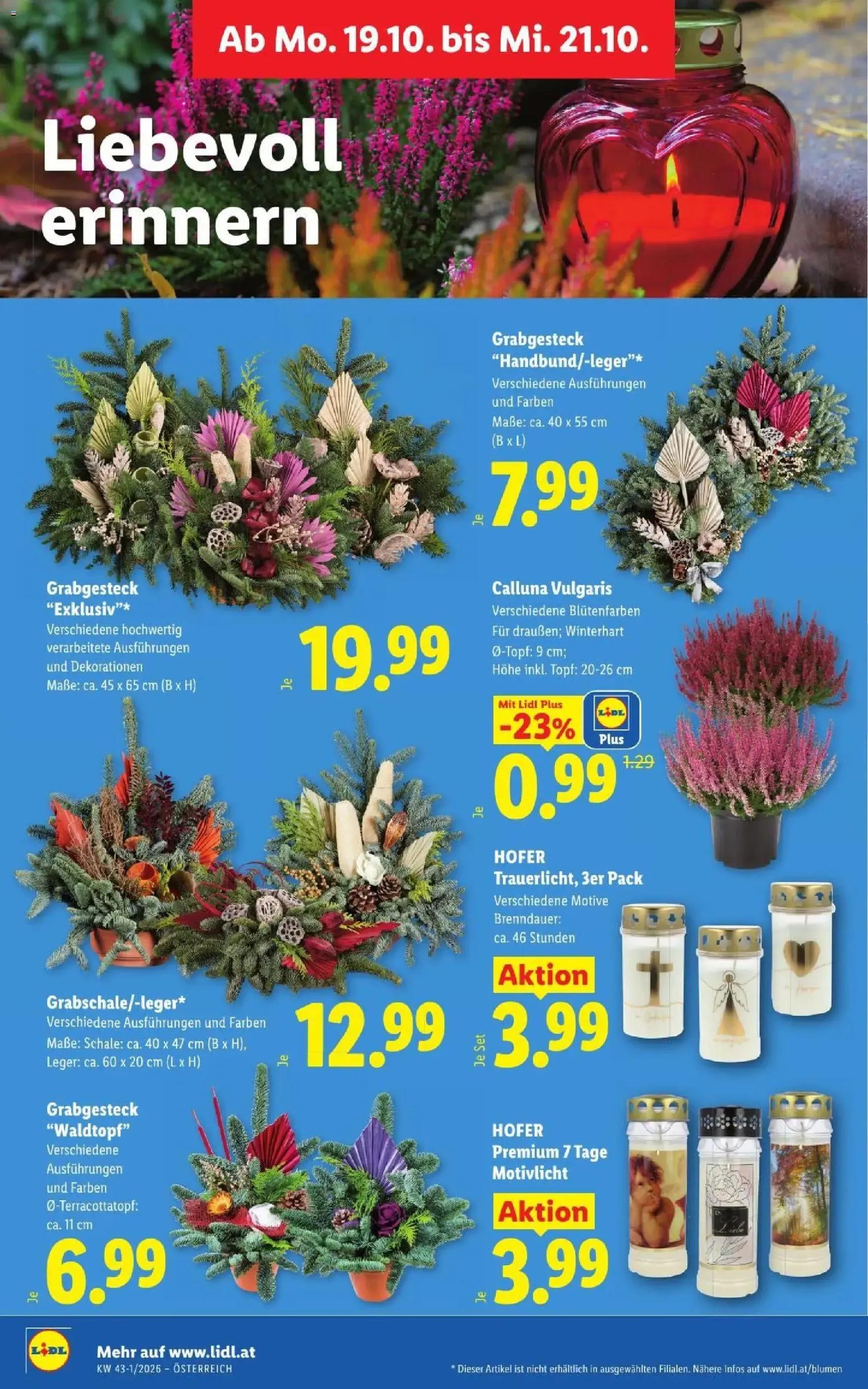 Lidl Flugblatt - Gültiger Prospekt ab 15.10.2026, Seite 33 von insgesamt 56