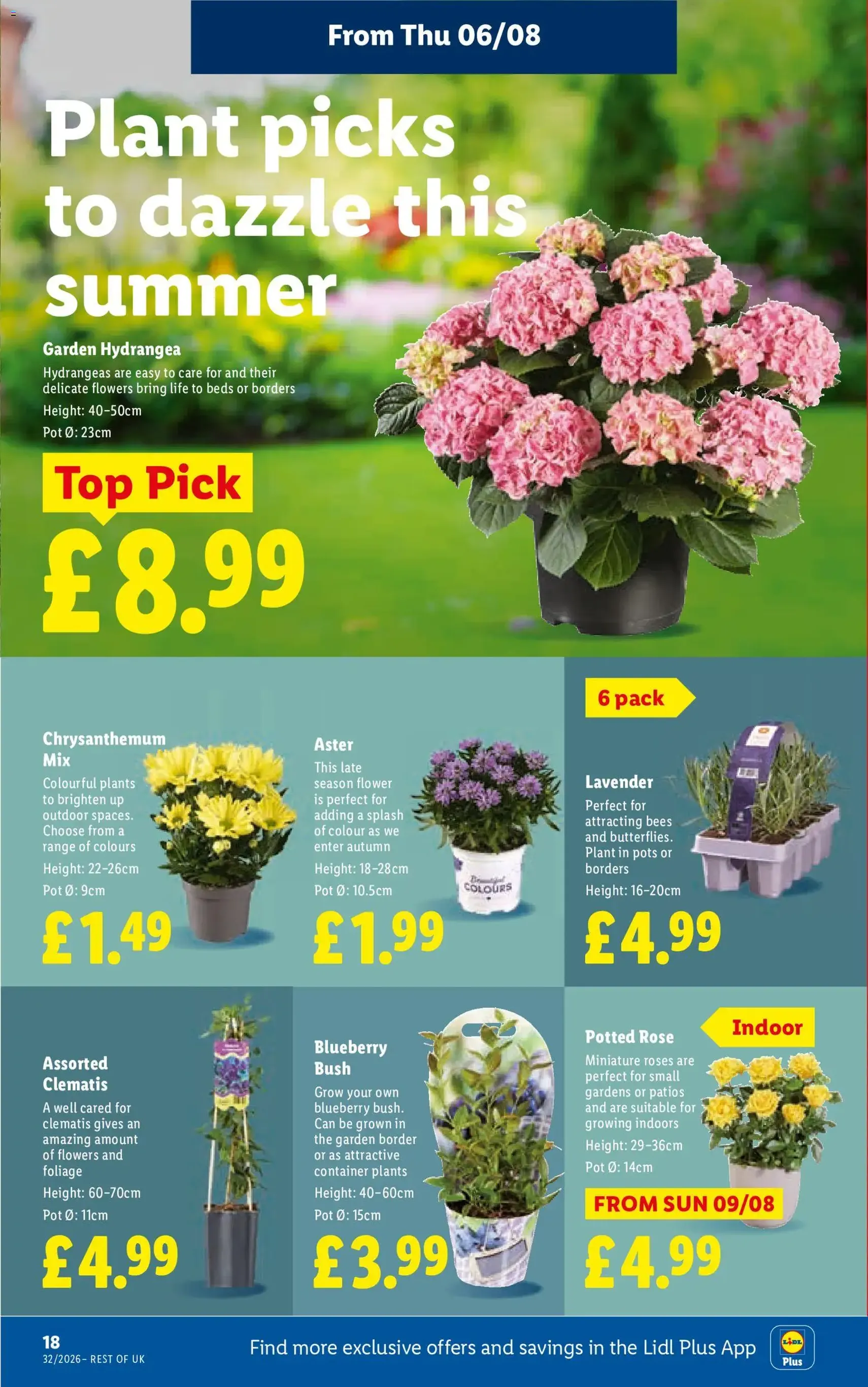 Weekly offers Lidl - valid flyer from 06/08/2026, page 22 of 30