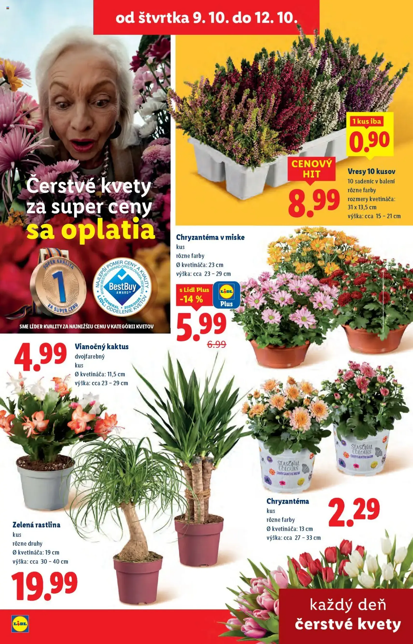 Lidl leták - platný leták od 06.10.2025 strana 85 z 108