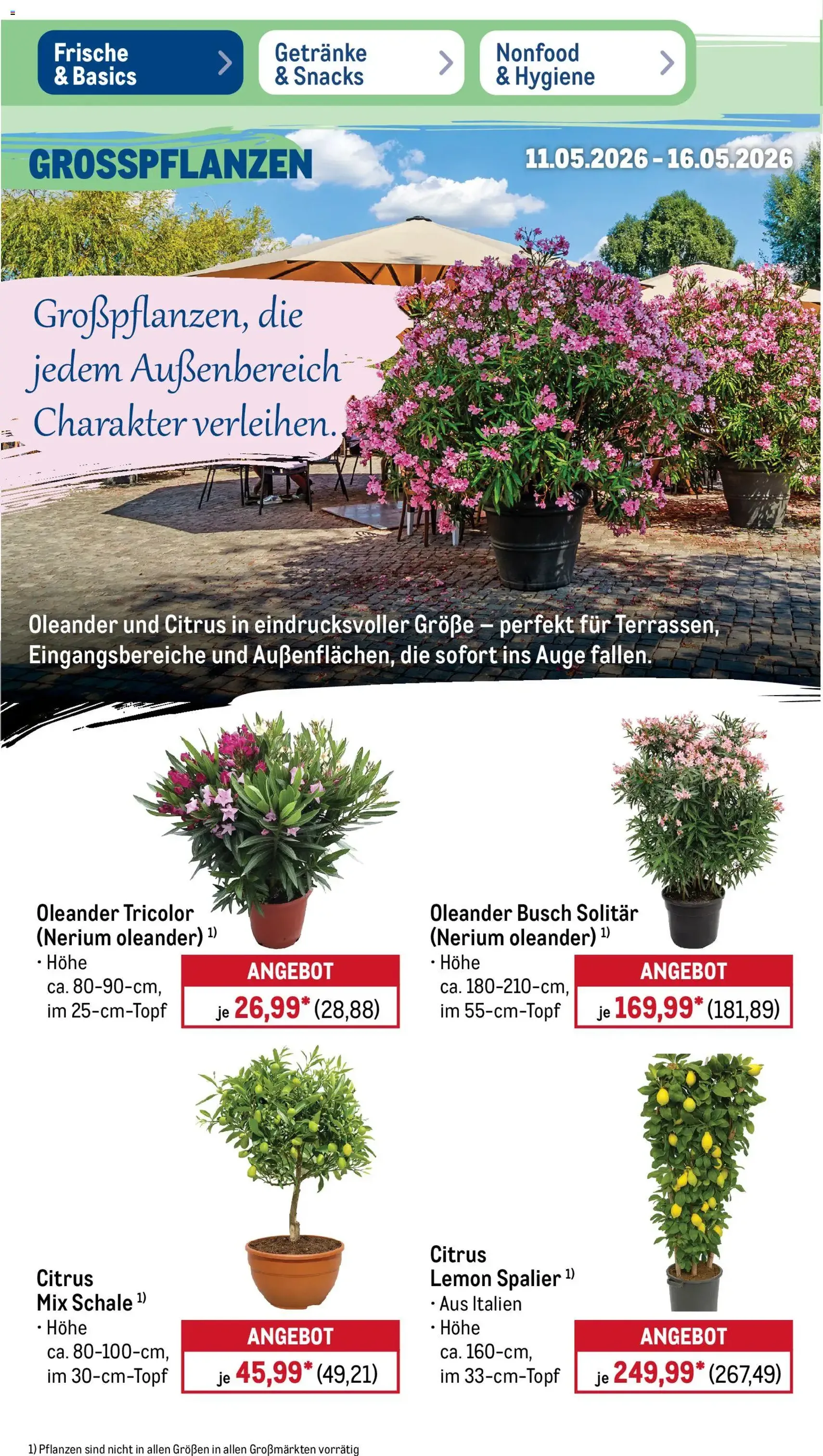Metro Prospekt - Gültiger Prospekt ab 11.05.2026, Seite 8 von insgesamt 51