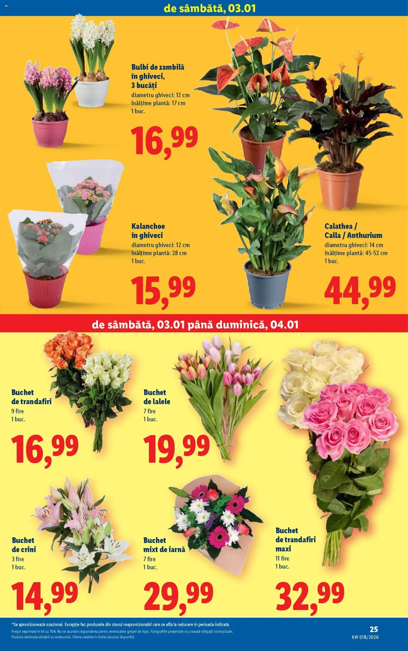 Catalog Lidl - cataloage valabile începând cu 02.01.2026 pagina 25 din 38