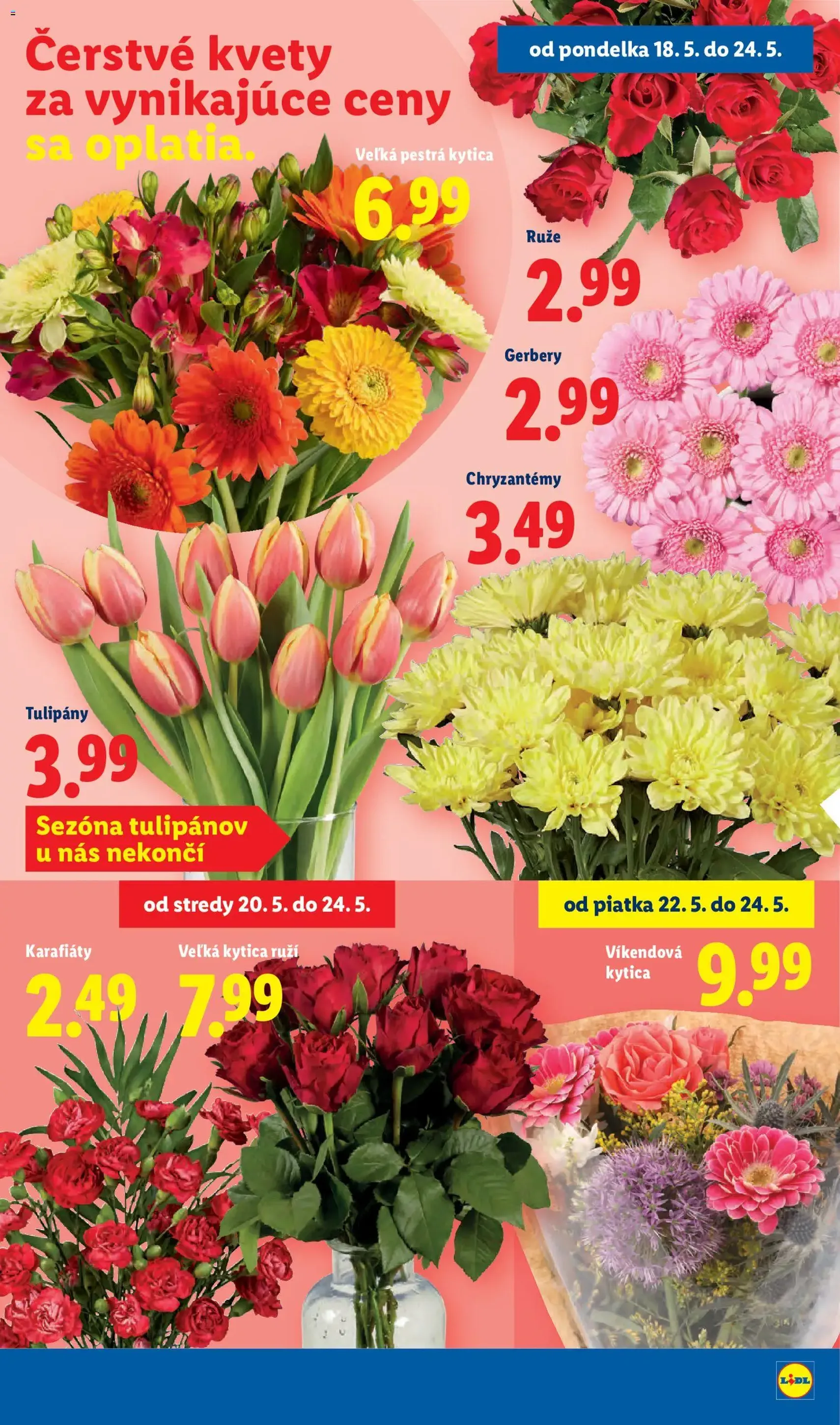 Lidl leták - platný leták od 18.05.2026 strana 33 z 97