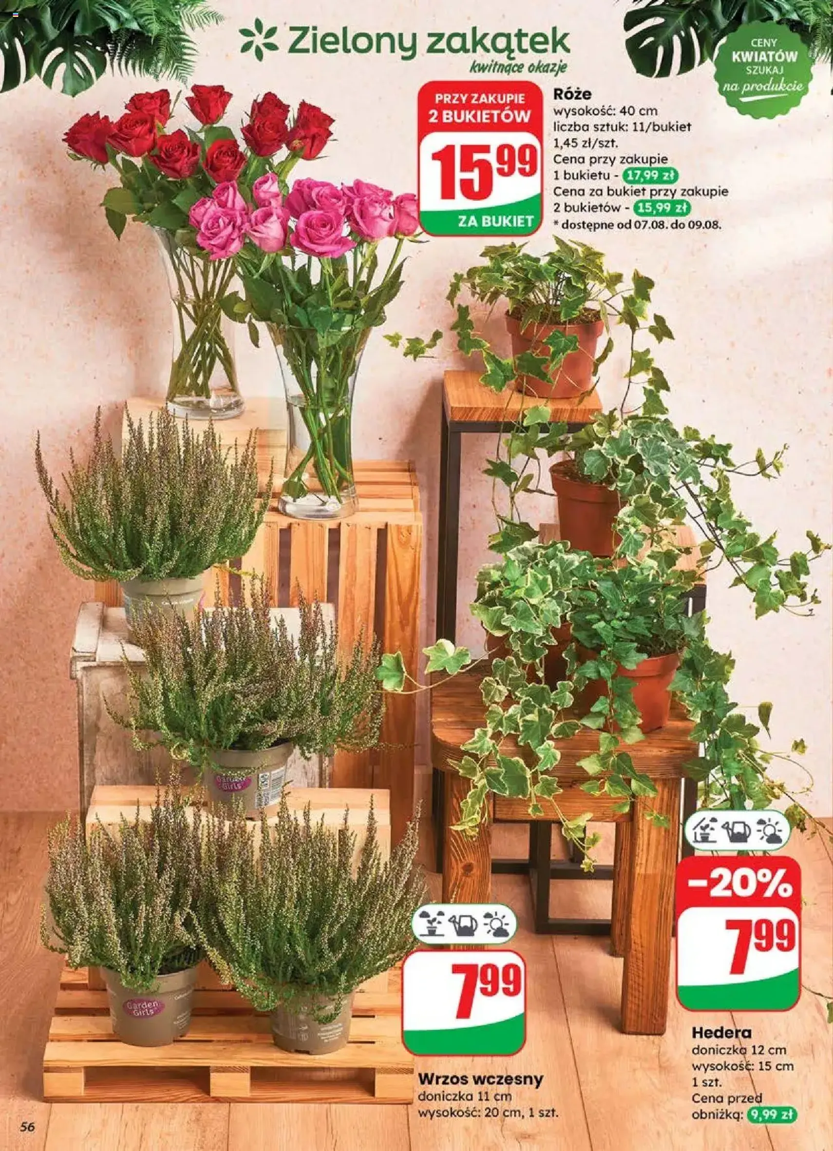 Dino Gazetka - ważny gazetka od 06.08.2025 strona 56 z 71 Dino Gazetka - ważny gazetka od 06.08.2025 strona 56 z 71