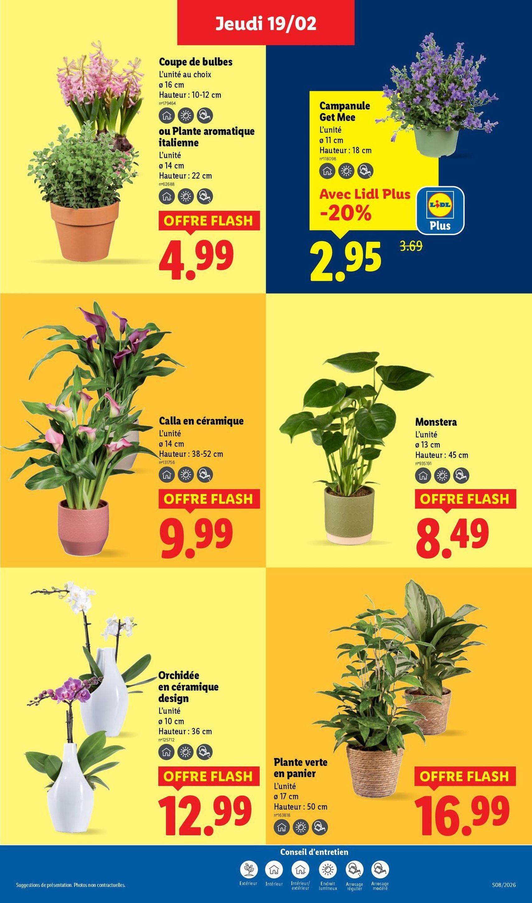 LIDL catalogue semaine 8 - brochure valable à partir du 19/02/2026, page 29 sur 77