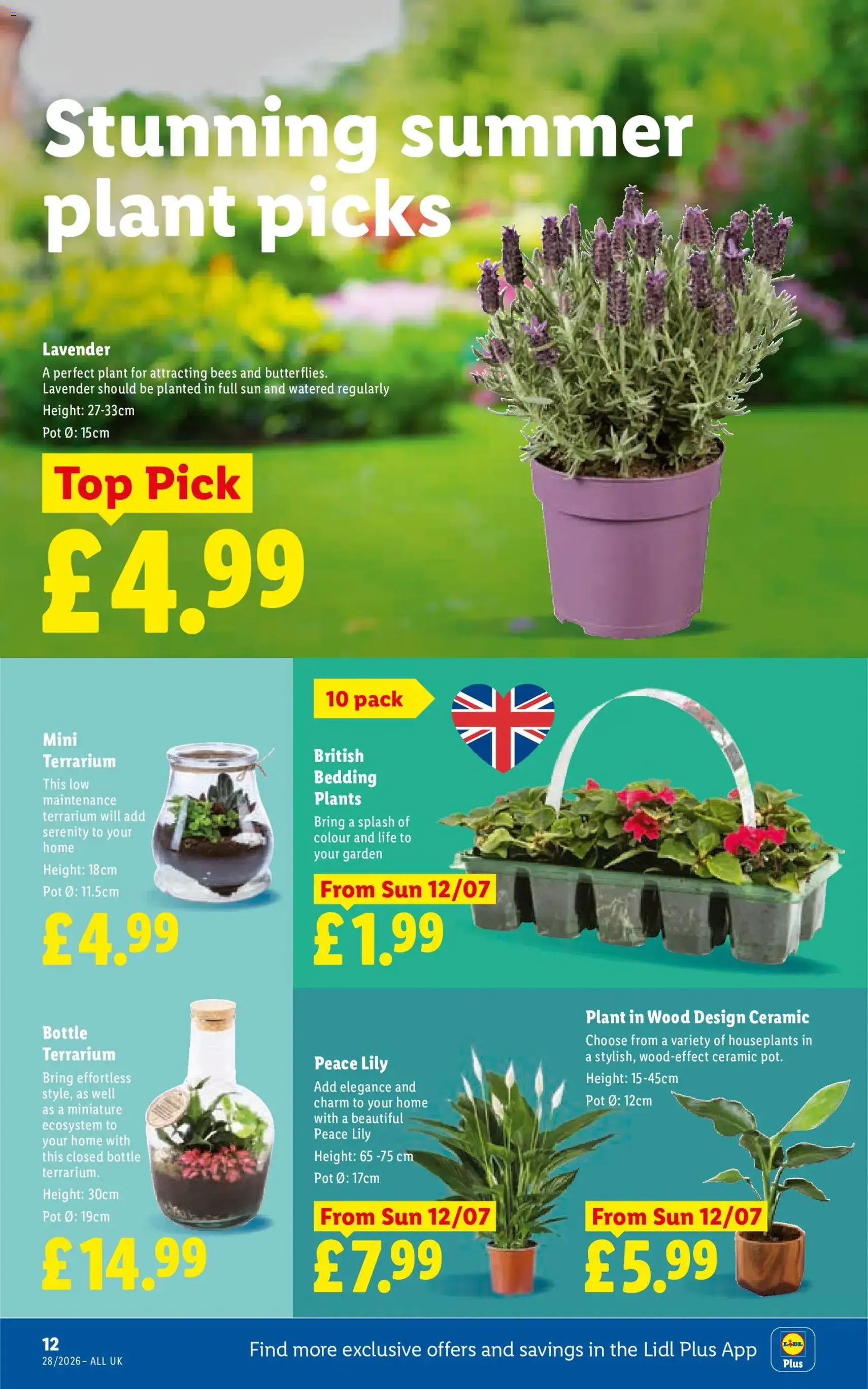 Weekly offers Lidl - valid flyer from 09/07/2026, page 14 of 28