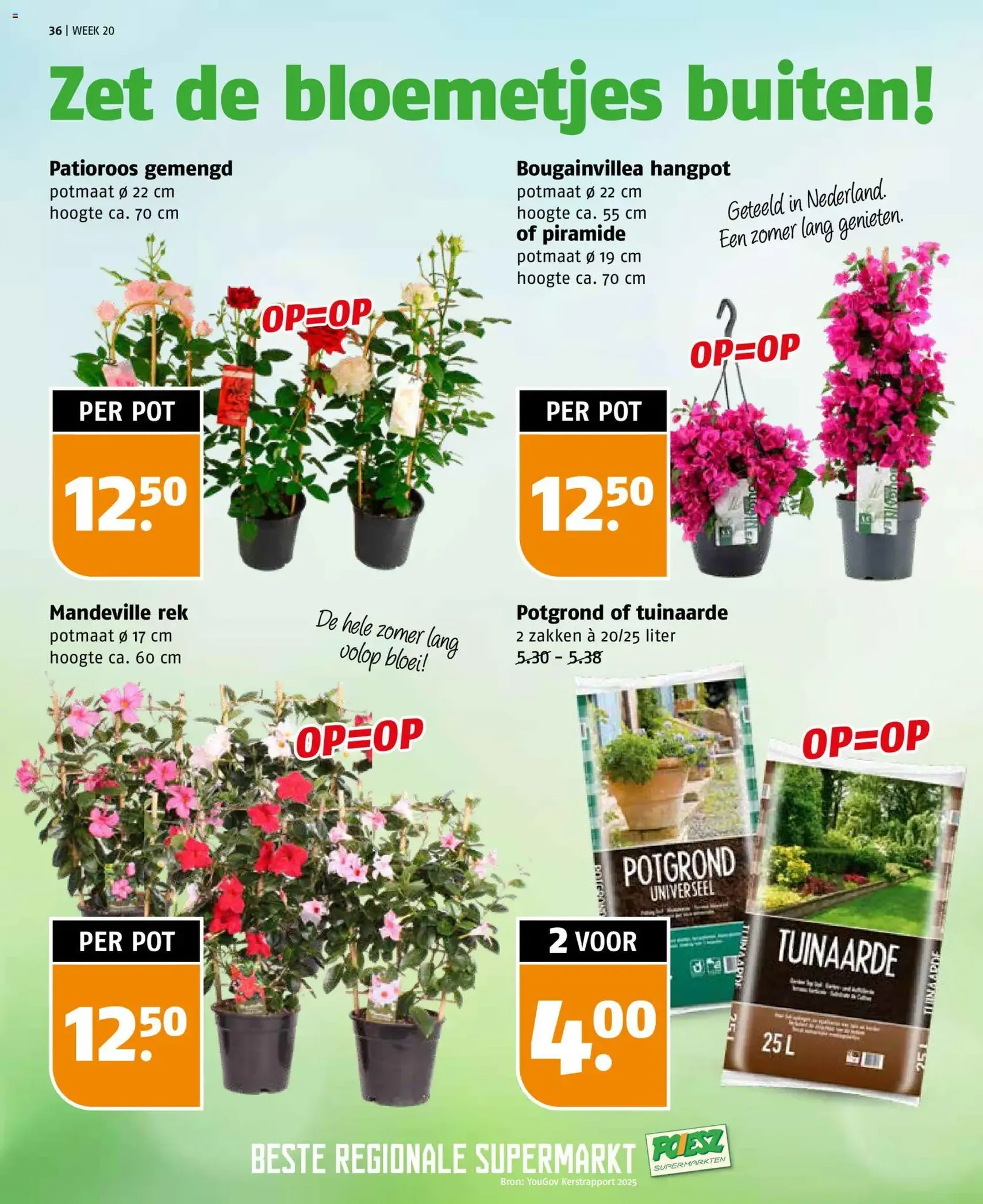 Poiesz folder - geldige folder vanaf 10-05-2026 pagina 36 van 40