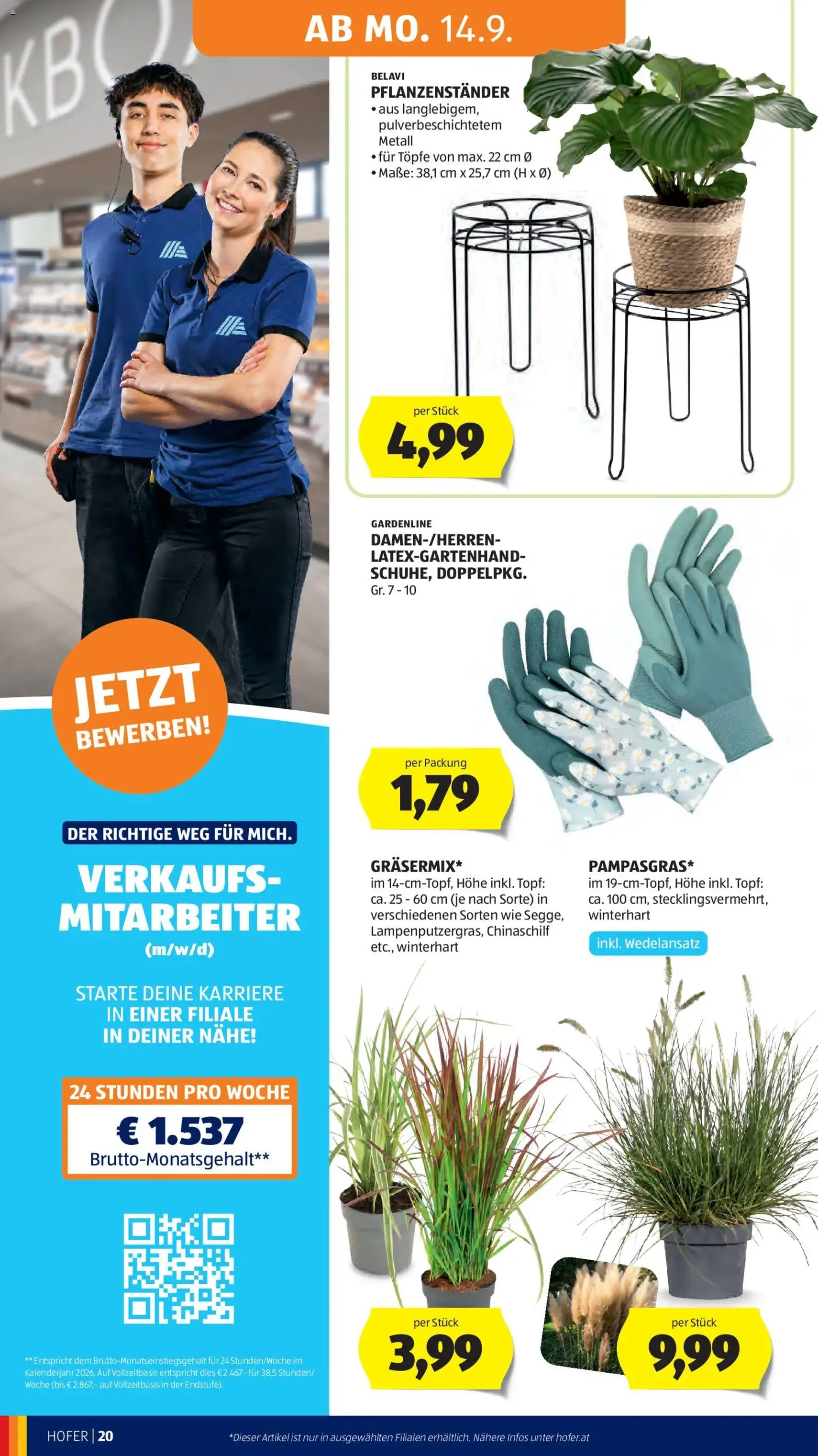 Hofer Flugblatt - Gültiger Prospekt ab 11.09.2026, Seite 30 von insgesamt 47