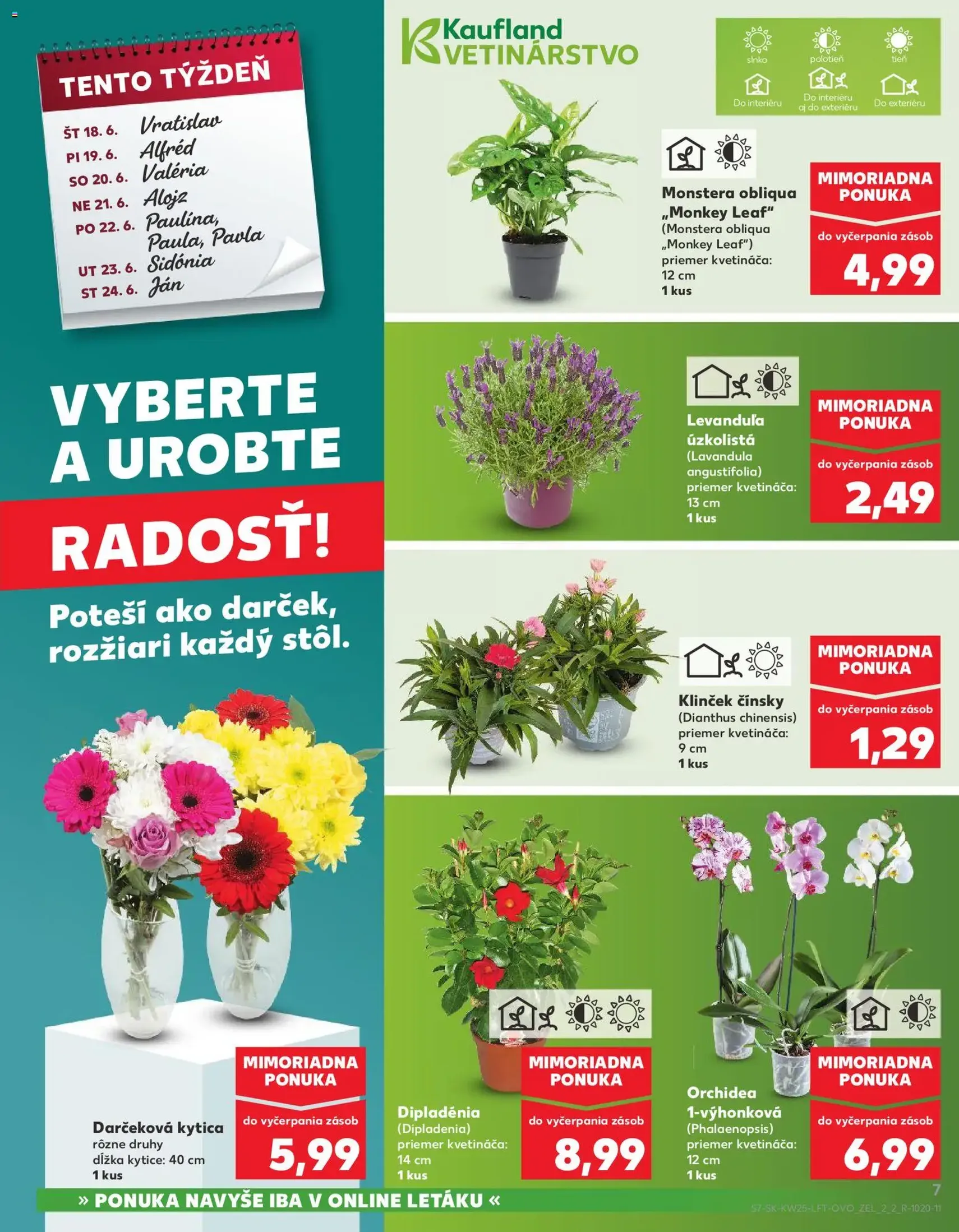 Kaufland leták - platný leták od 18.06.2026 strana 7 z 84