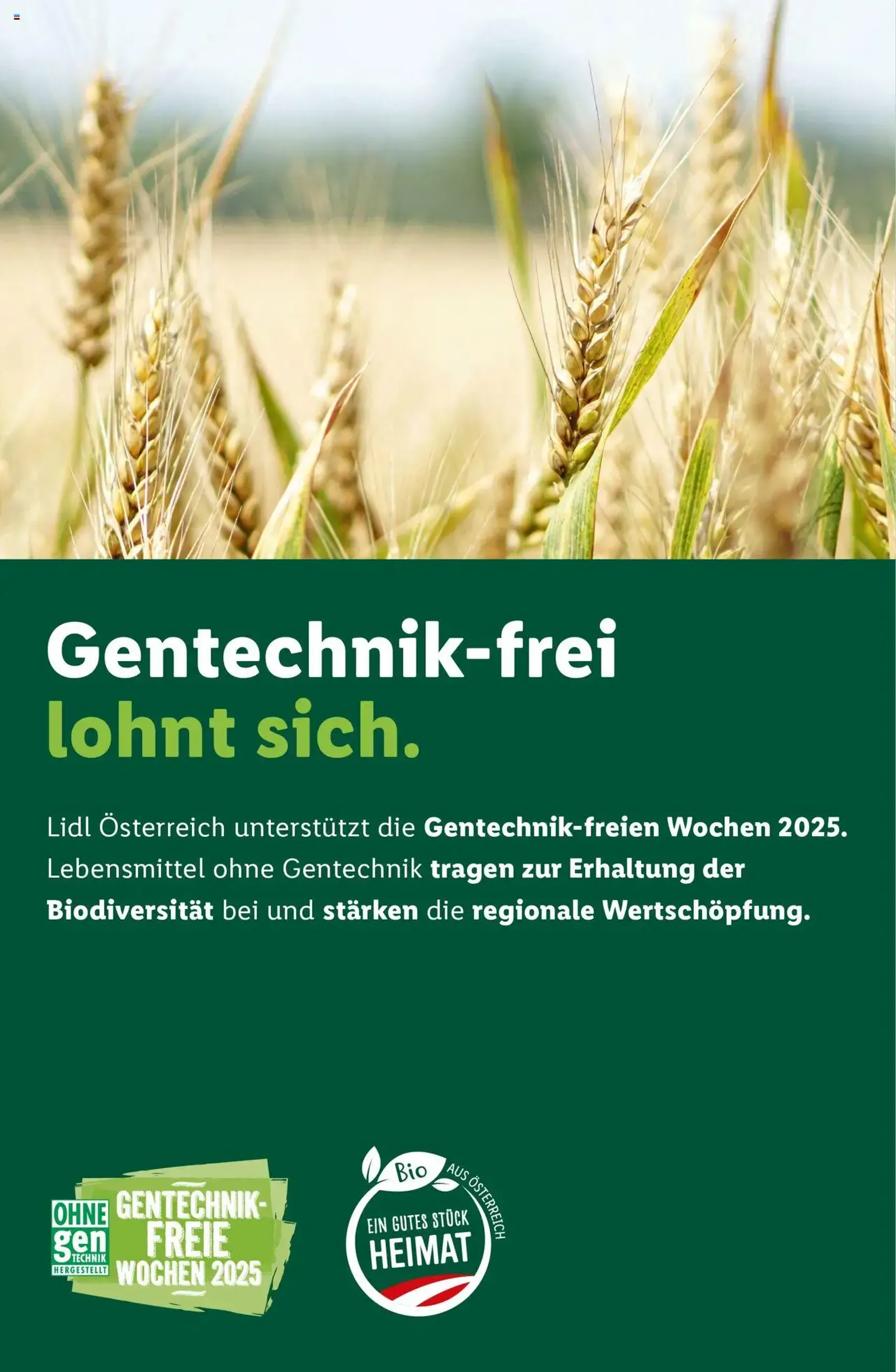 Lidl Flugblatt - Gültiger Prospekt ab 18.09.2025, Seite 41 von insgesamt 44