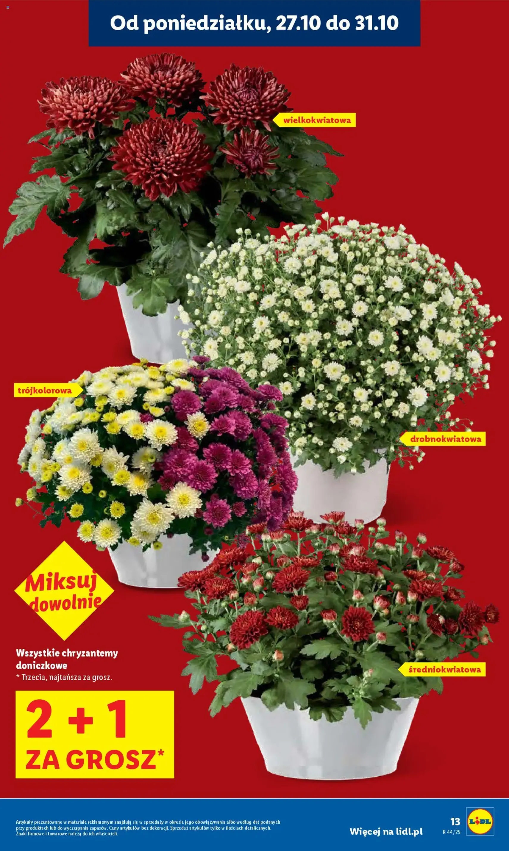 Lidl Gazetka - ważny gazetka od 27.10.2025 strona 13 z 73 Lidl Gazetka - ważny gazetka od 27.10.2025 strona 13 z 73