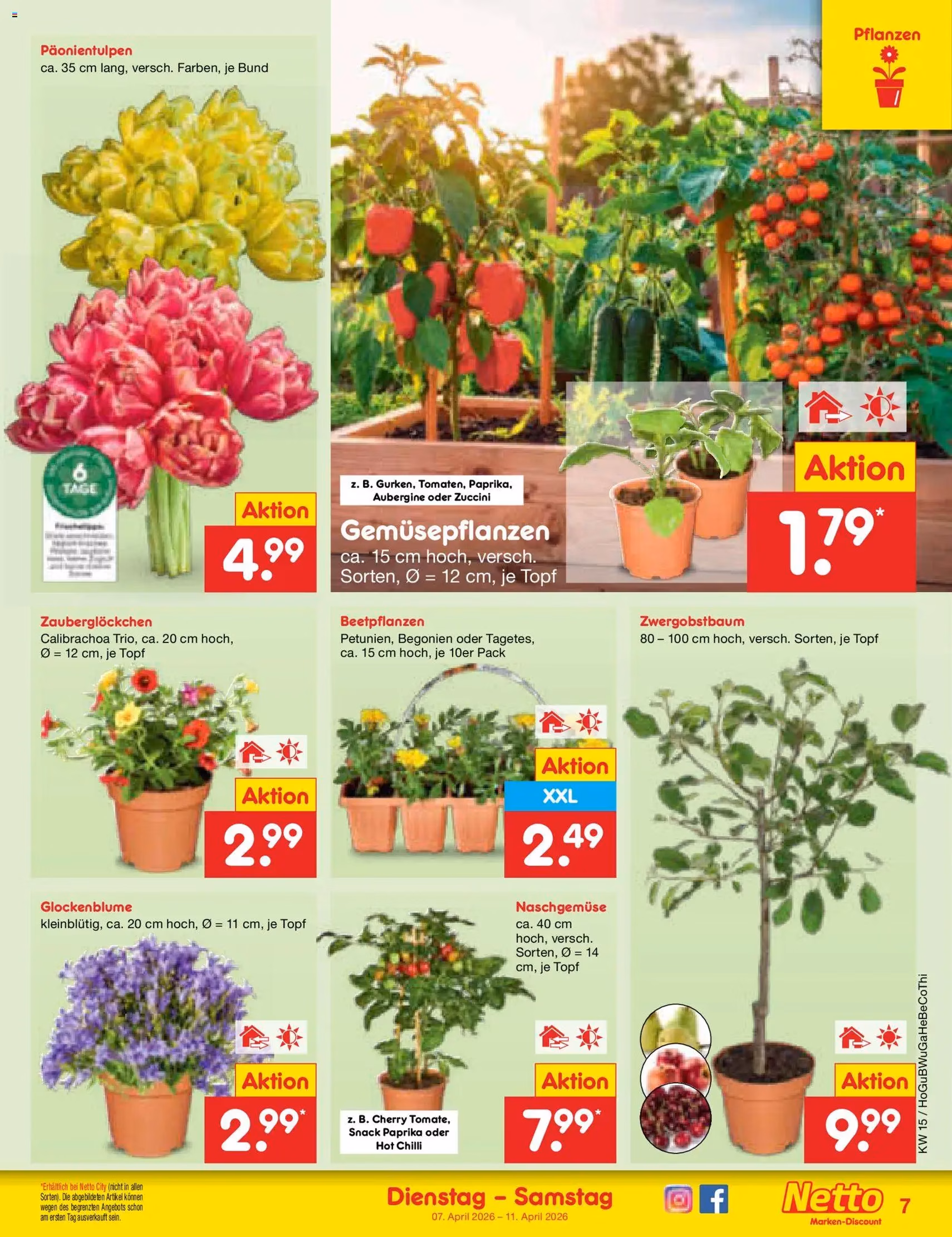 Netto Marken-Discount Prospekt - Gültiger Prospekt ab 07.04.2026, Seite 9 von insgesamt 59