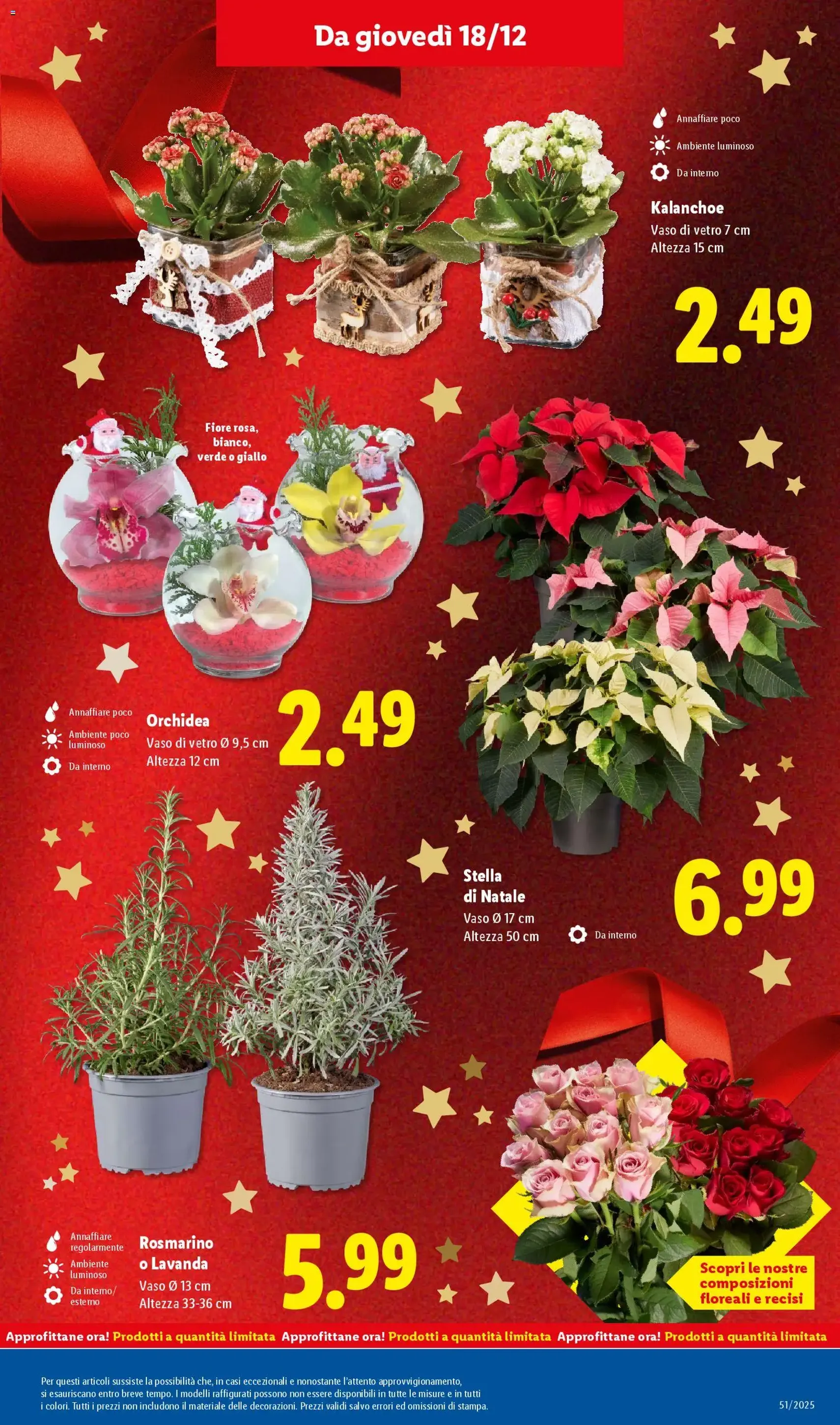 Volantino Lidl - volantino valido dal 15/12/2025 pagina 33 di 60