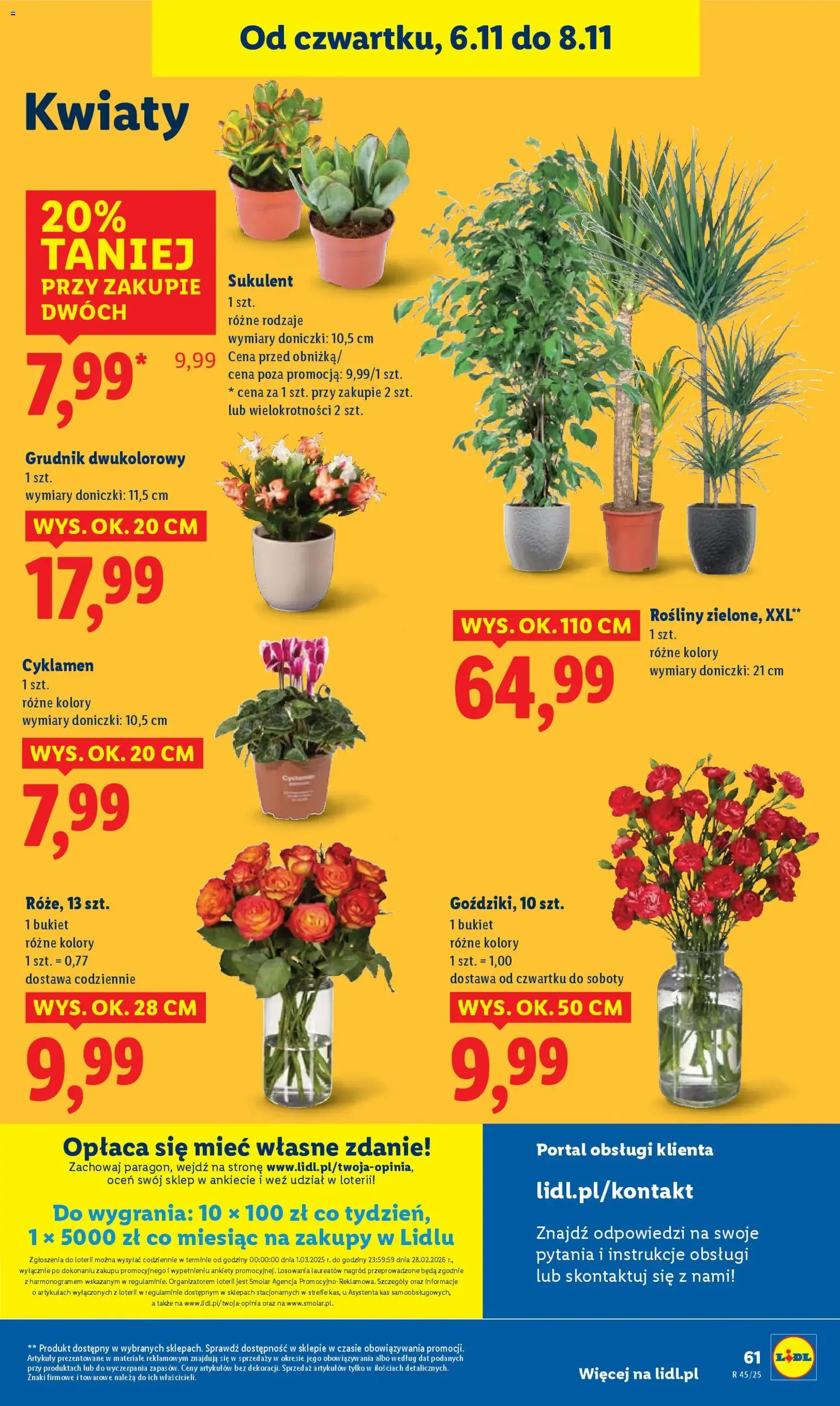 Lidl Gazetka - ważny gazetka od 06.11.2025 strona 70 z 75