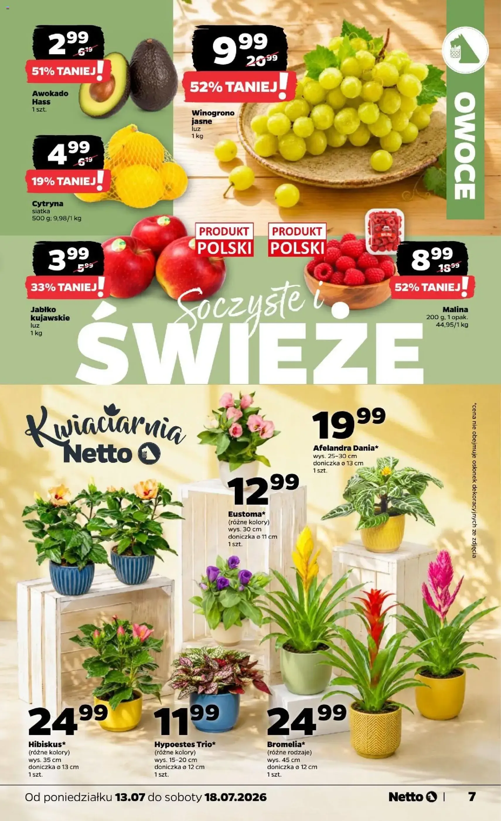 Netto gazetka od poniedziałku - ważny gazetka od 13.07.2026 strona 7 z 34