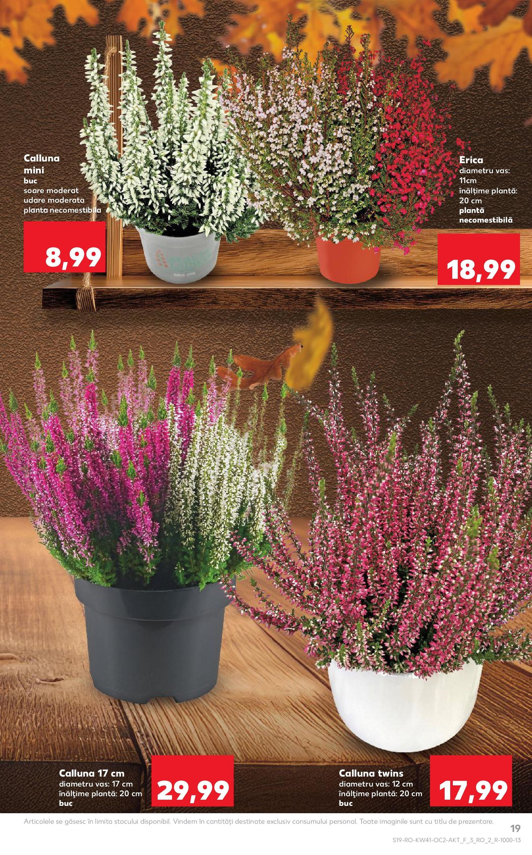 Catalog Kaufland - Bucureşti - cataloage valabile începând cu 08.10.2025 pagina 19 din 68