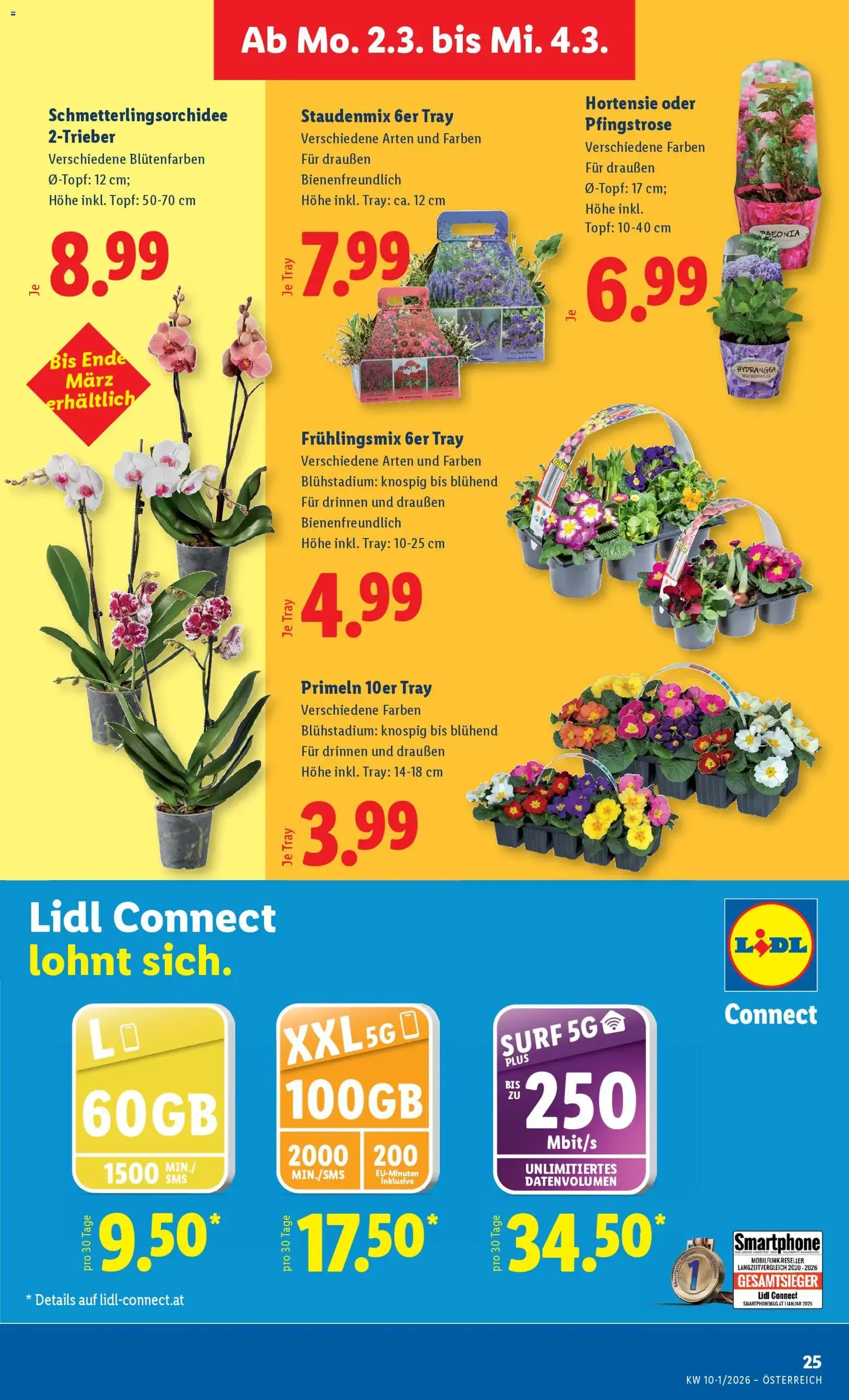 Lidl Flugblatt - Gültiger Prospekt ab 26.02.2026, Seite 30 von insgesamt 49