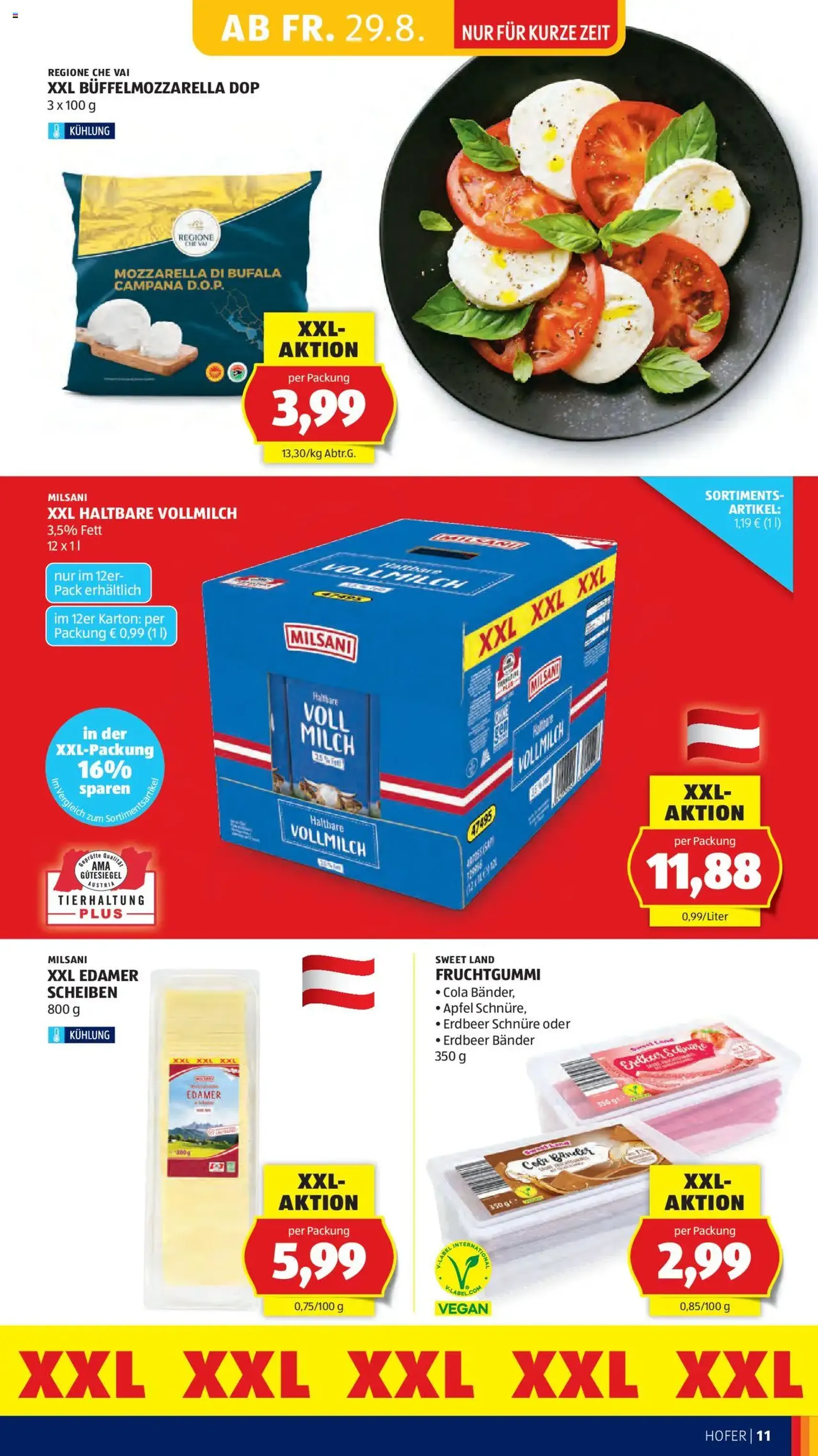 Hofer Flugblatt - Gültiger Prospekt ab 29.08.2025, Seite 13 von insgesamt 37