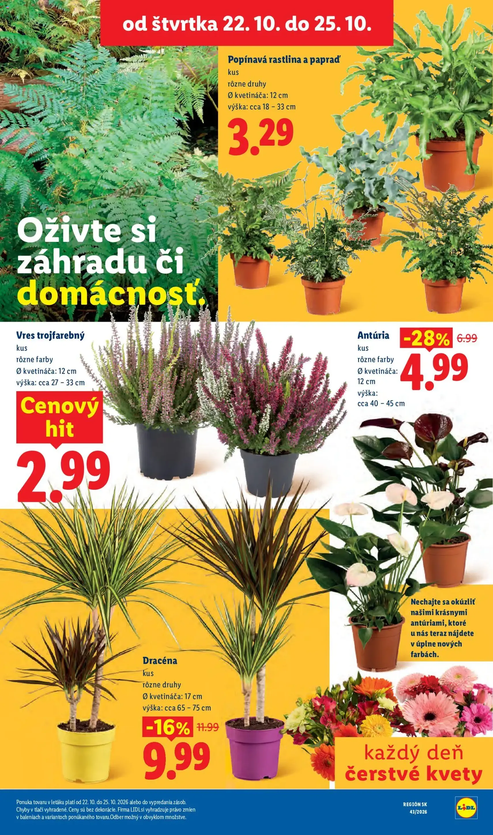 Lidl leták - platný leták od 19.10.2026 strana 102 z 120
