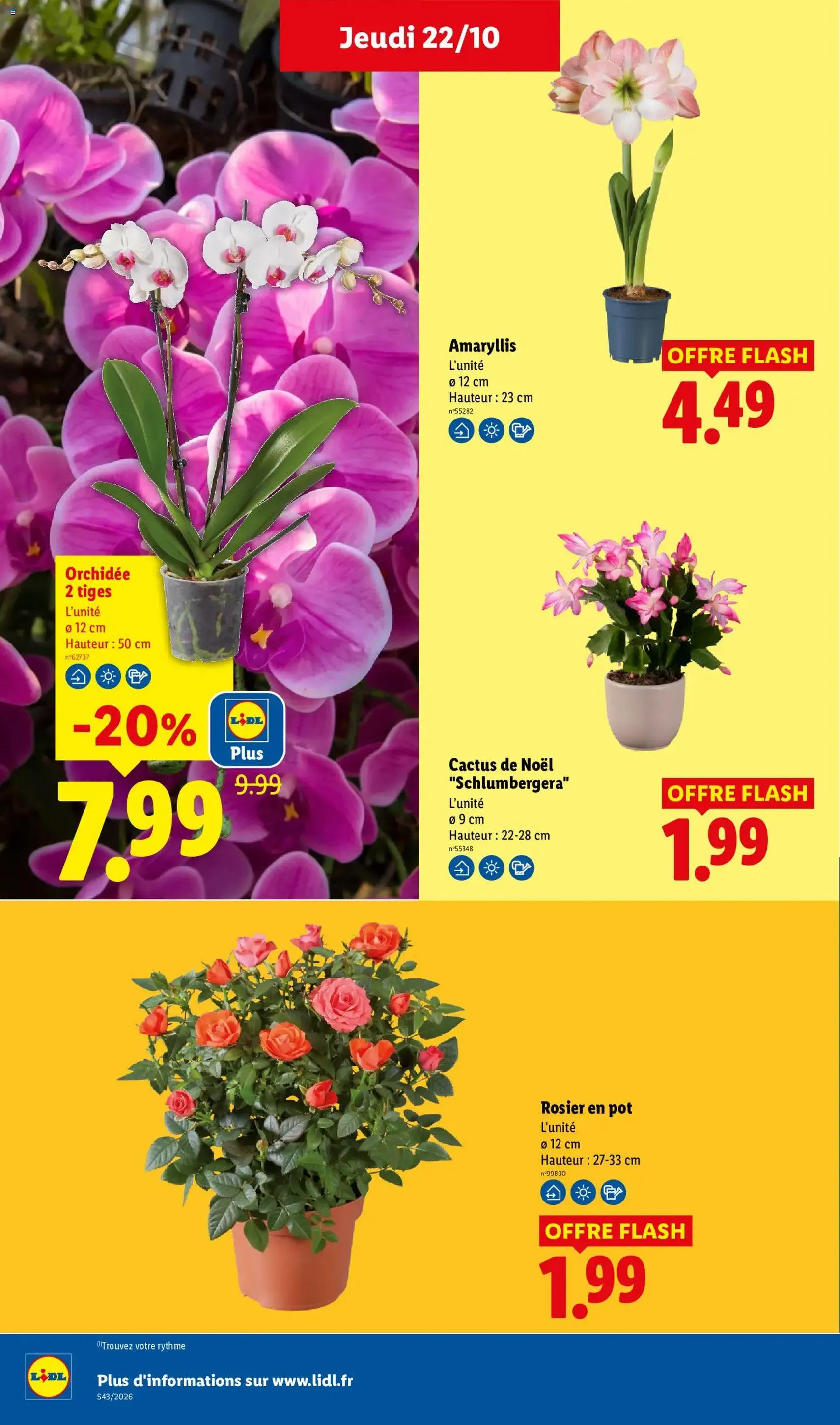 LIDL catalogue - brochure valable à partir du 22/10/2026, page 35 sur 66
